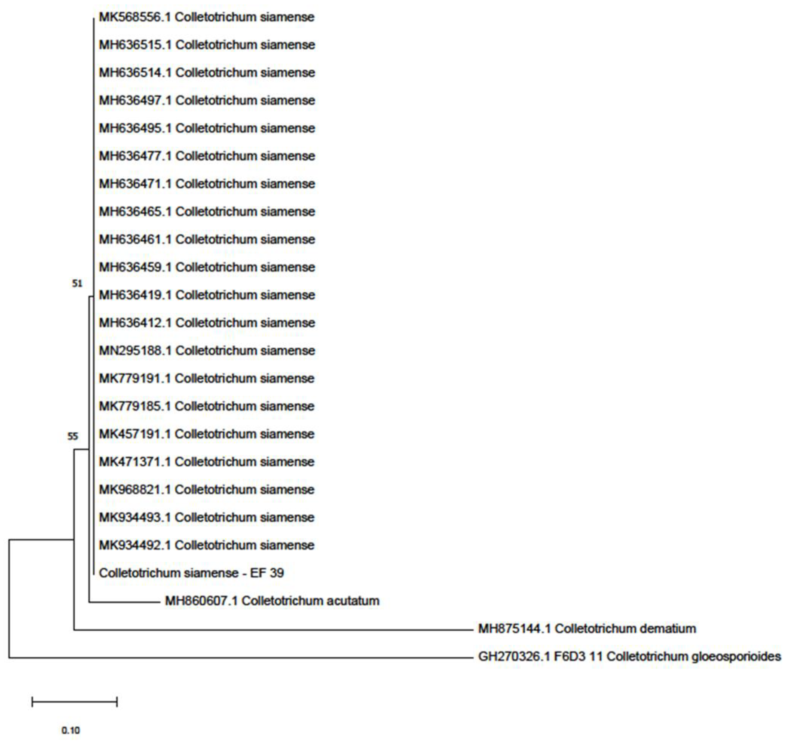 Microbiolres 12 00037 g003