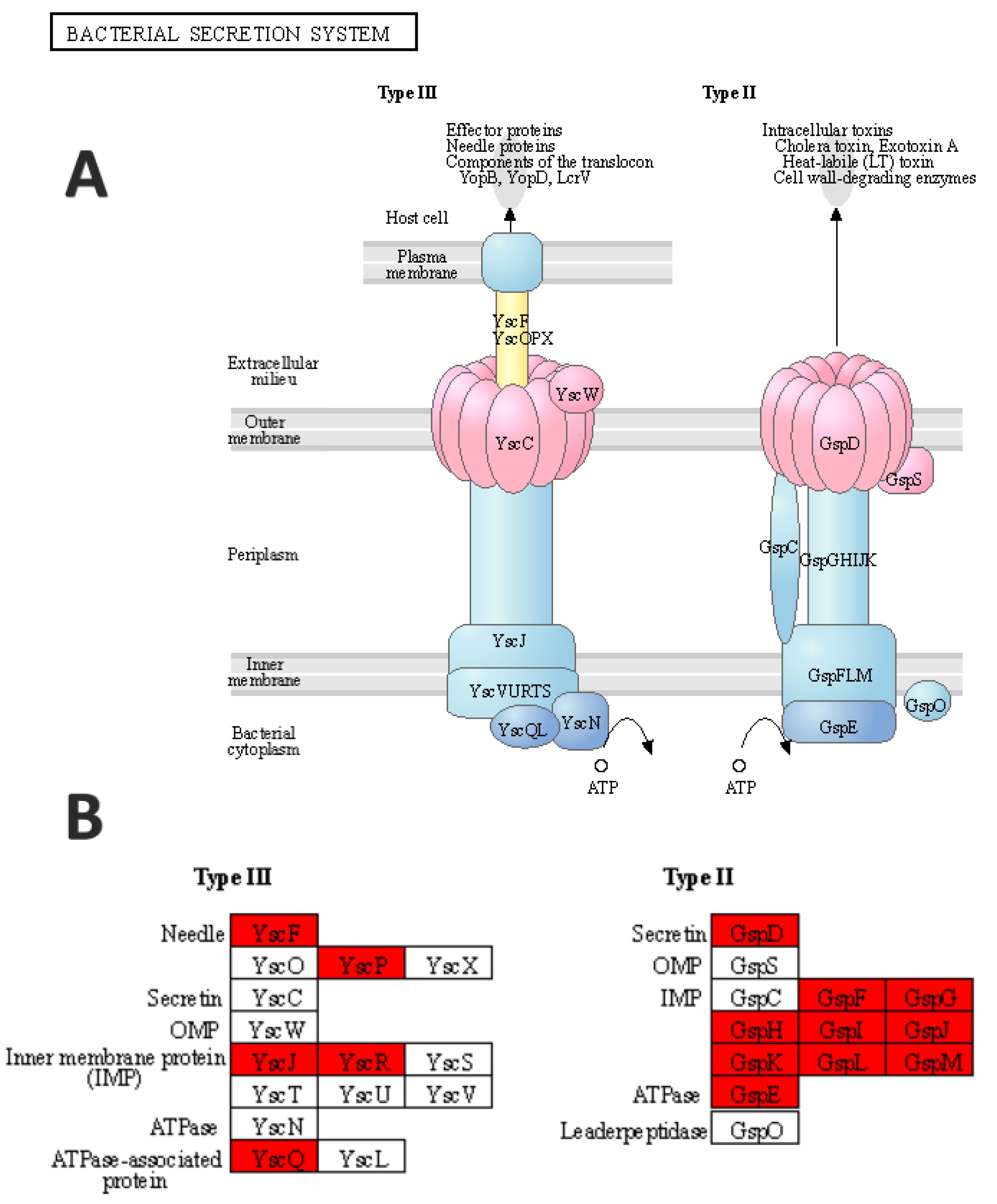 Microbiolres 12 00045 g006