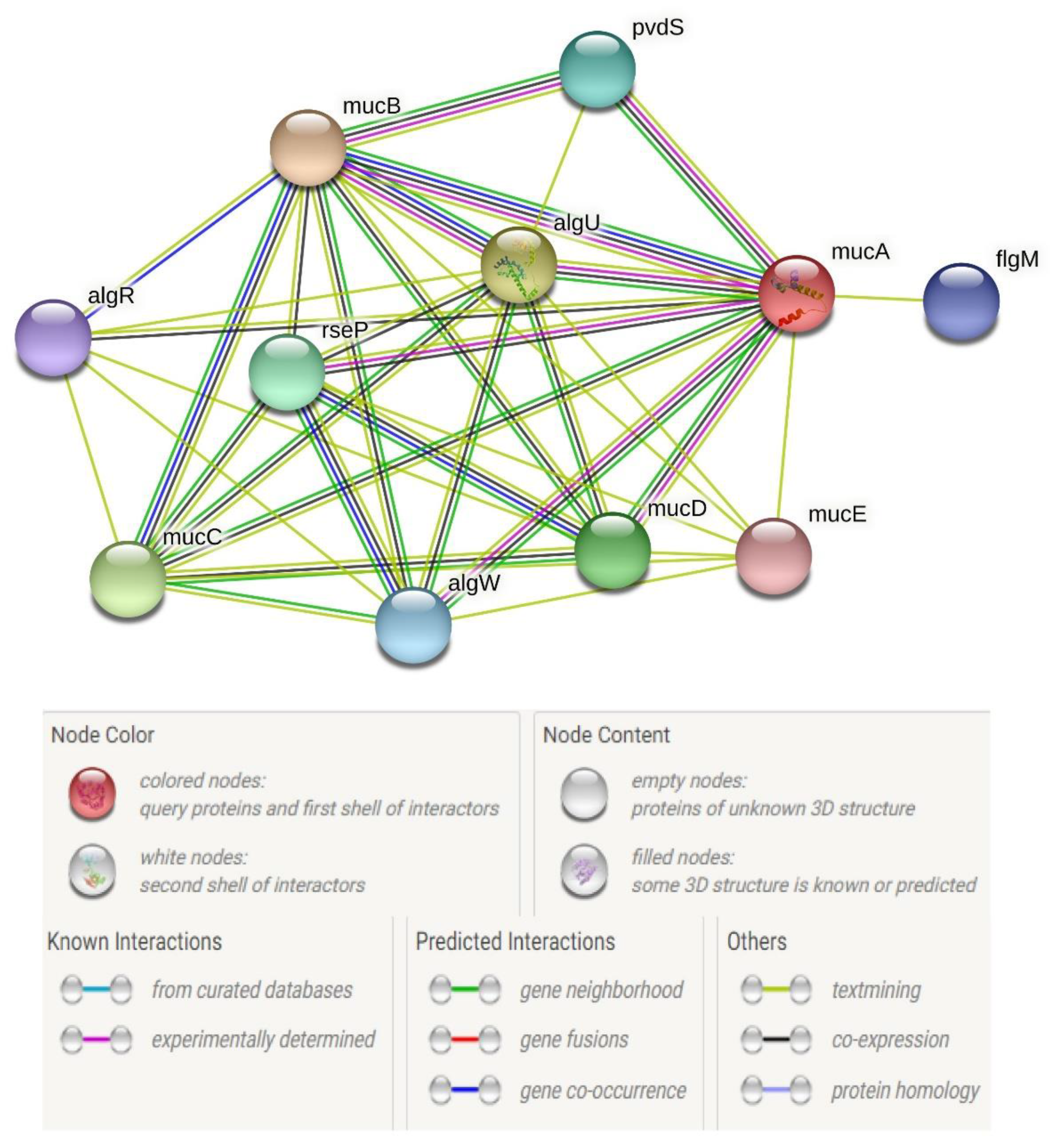 Microbiolres 12 00045 g008