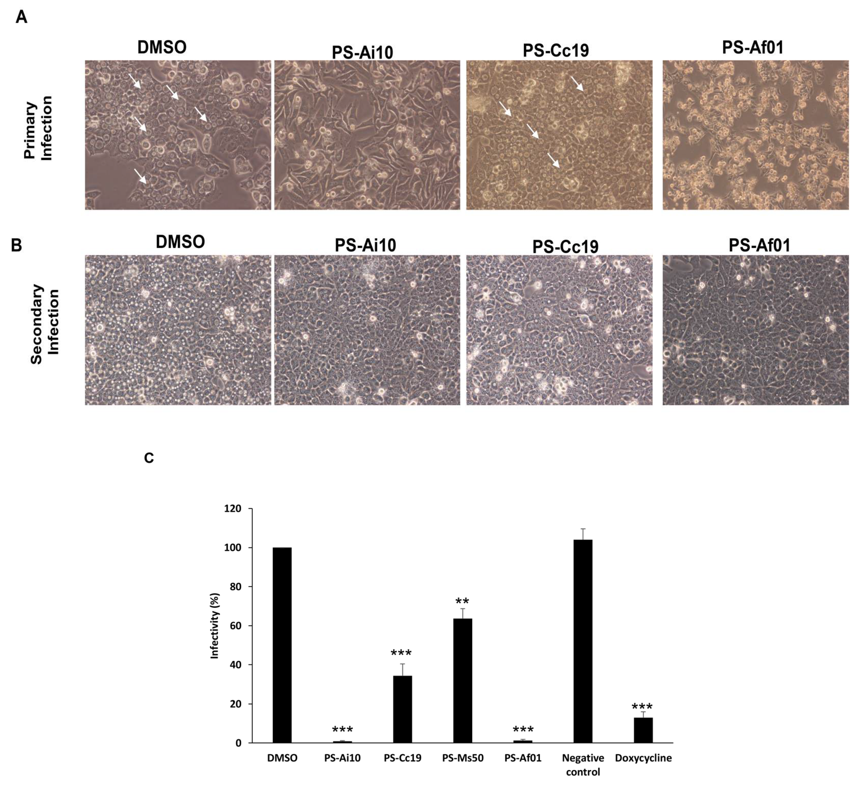 Microbiolres 12 00047 g001 Microbiolres 12 00047 g001