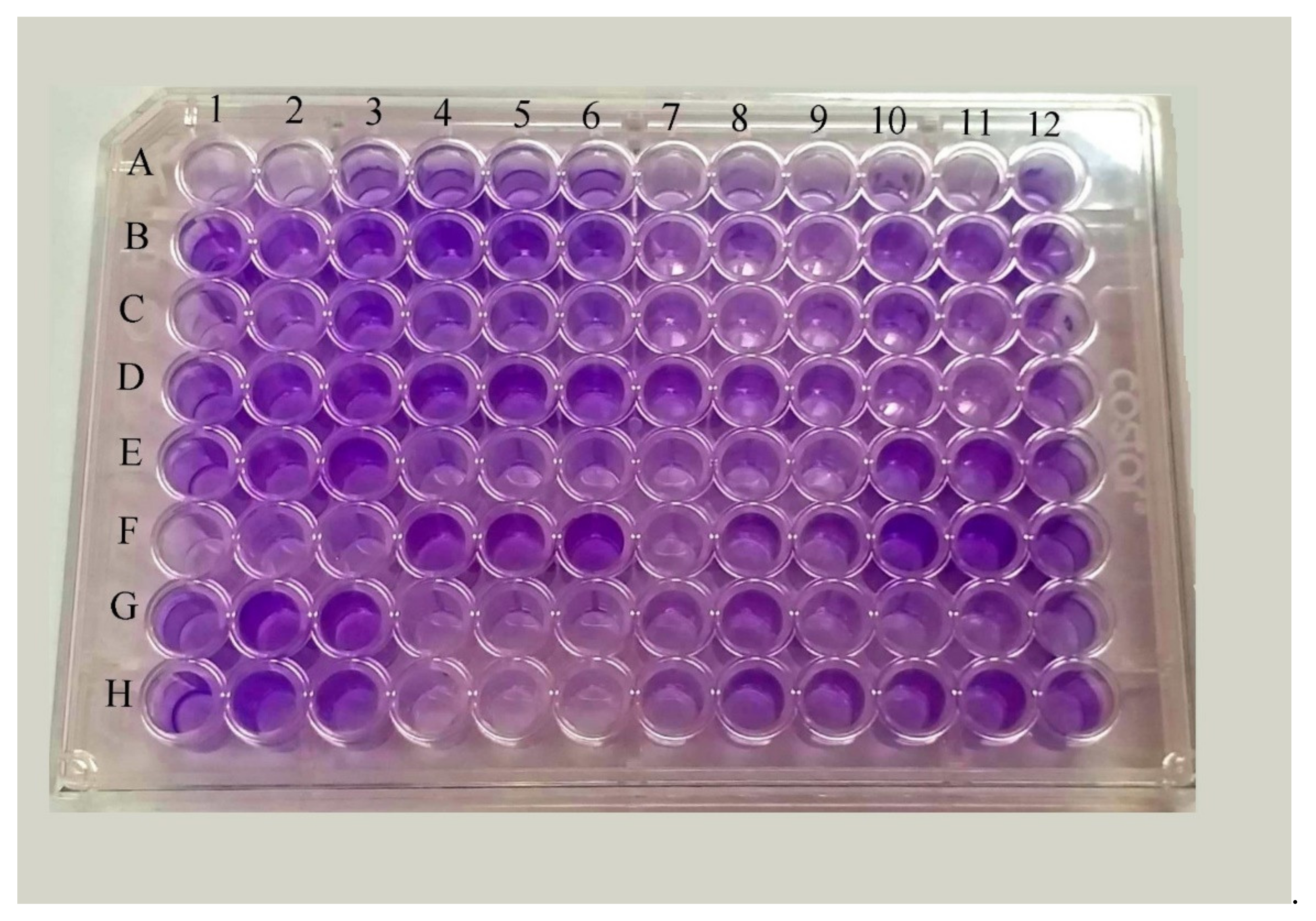 Microbiolres 12 00049 g001 550