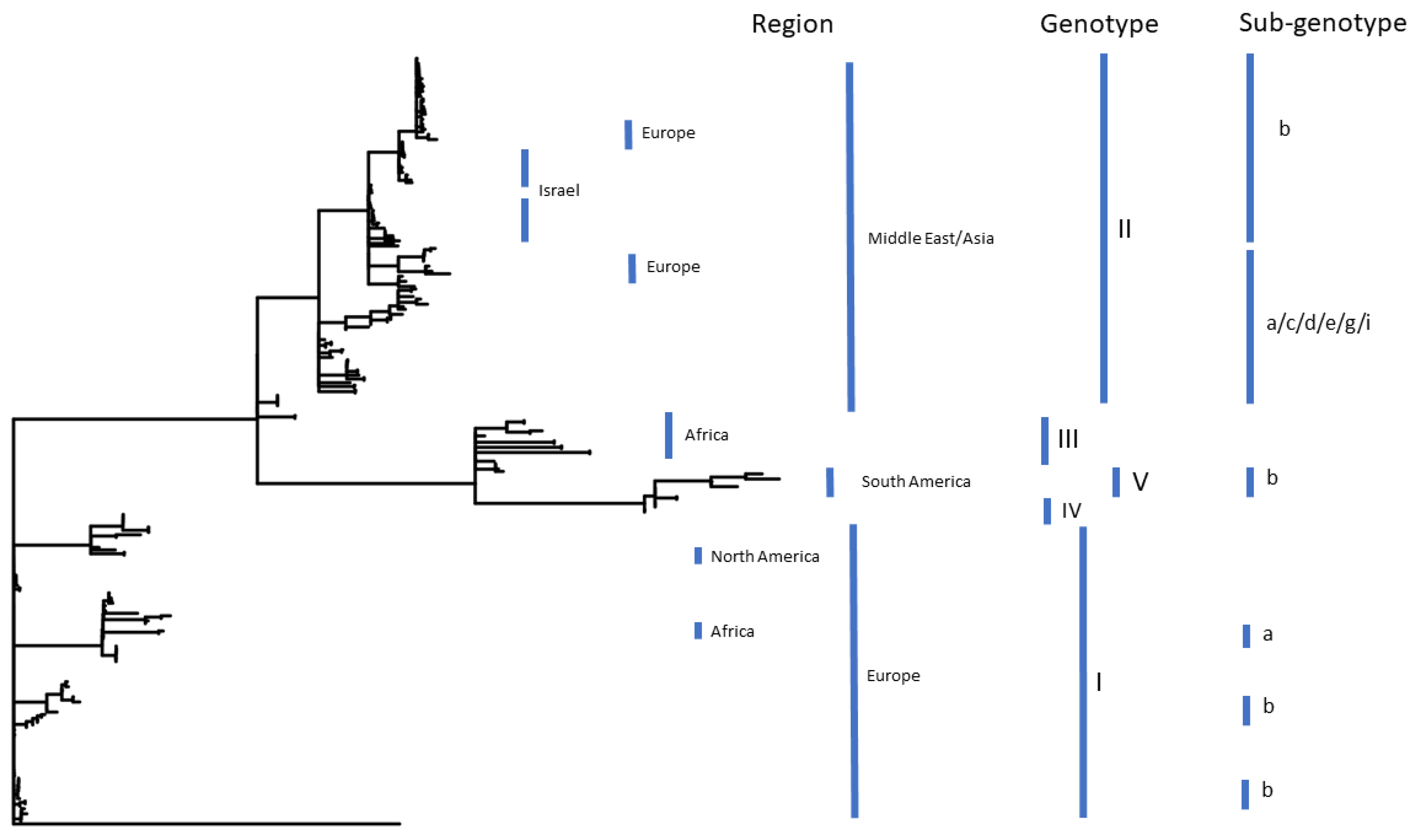 Microbiolres 12 00050 g001