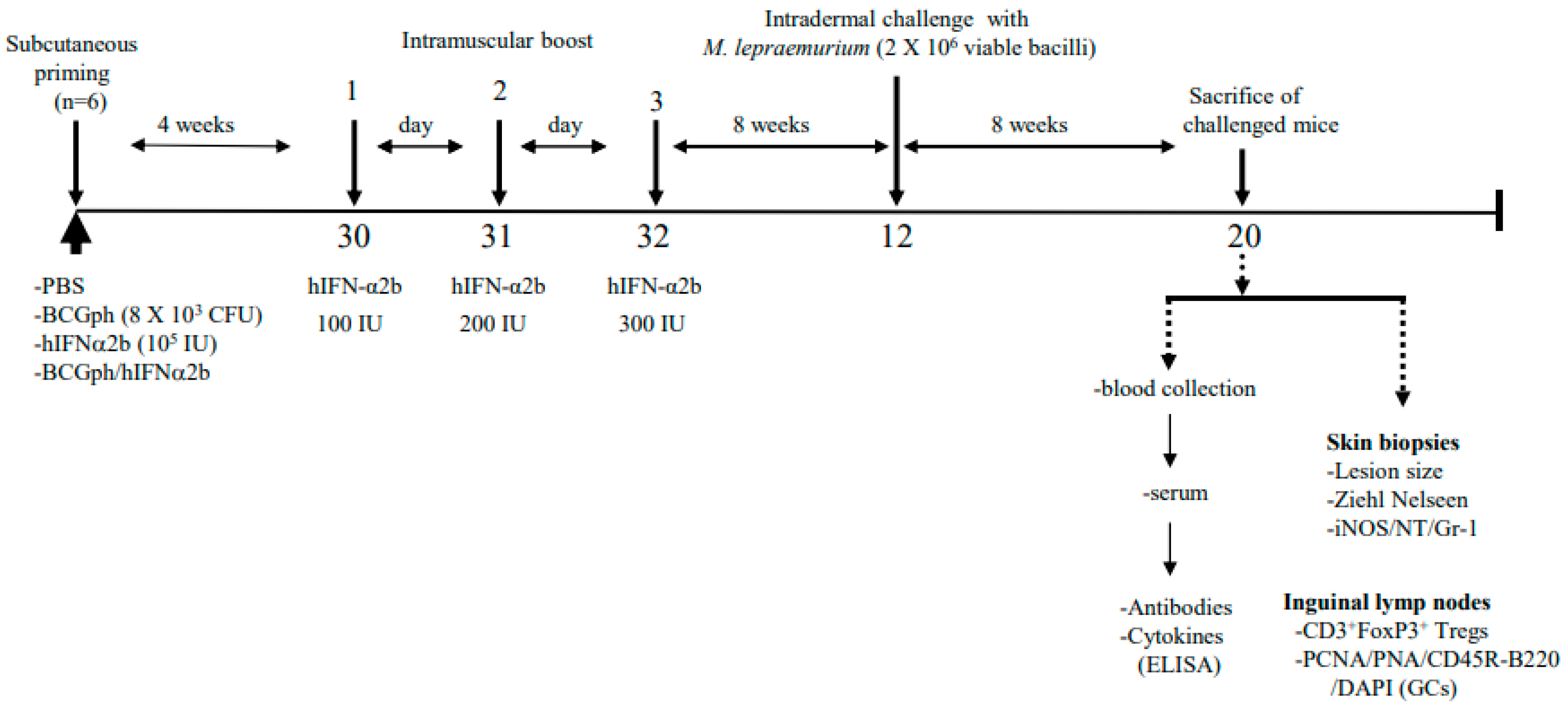 Microbiolres 12 00051 g001 Microbiolres 12 00051 g001