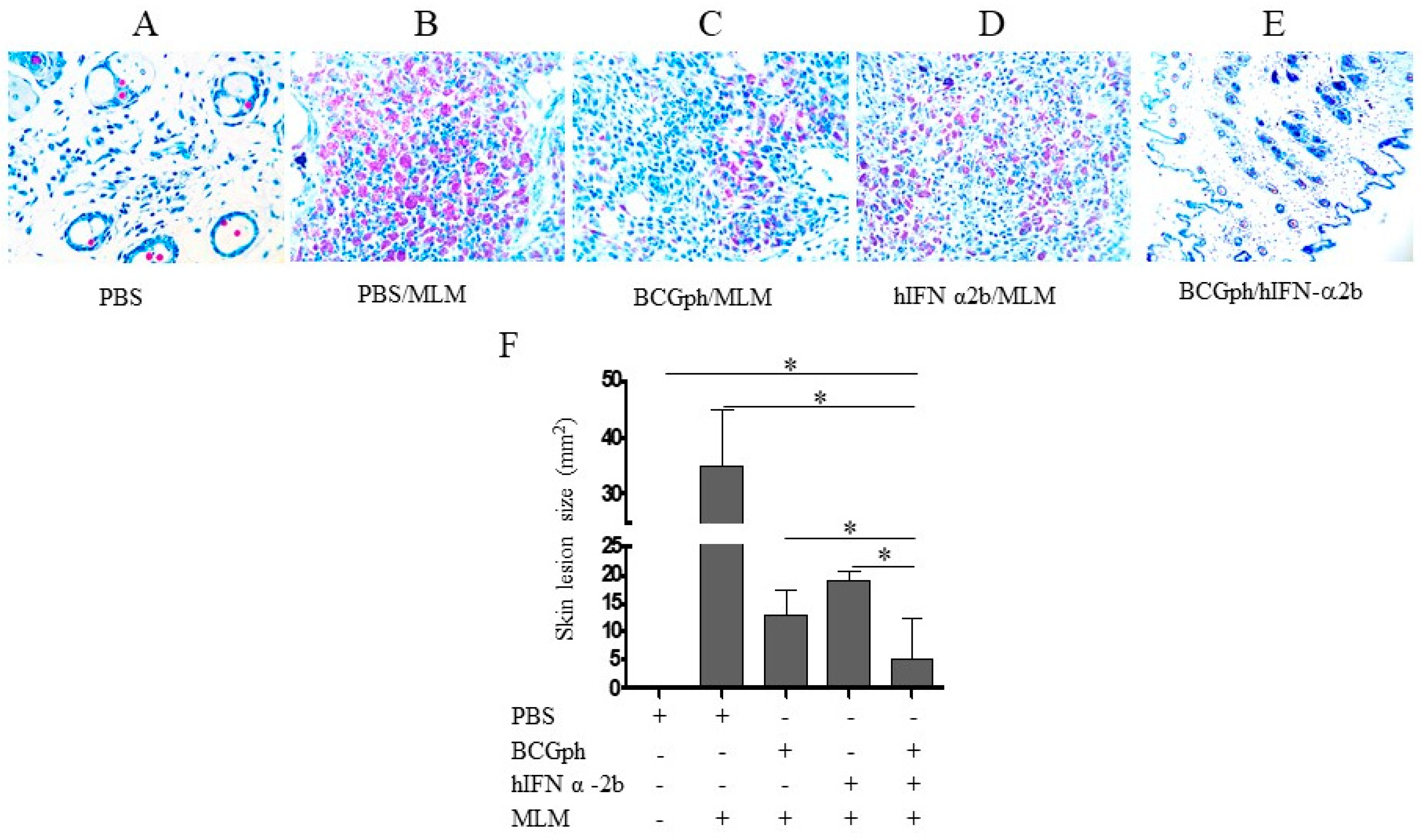 Microbiolres 12 00051 g002 Microbiolres 12 00051 g002