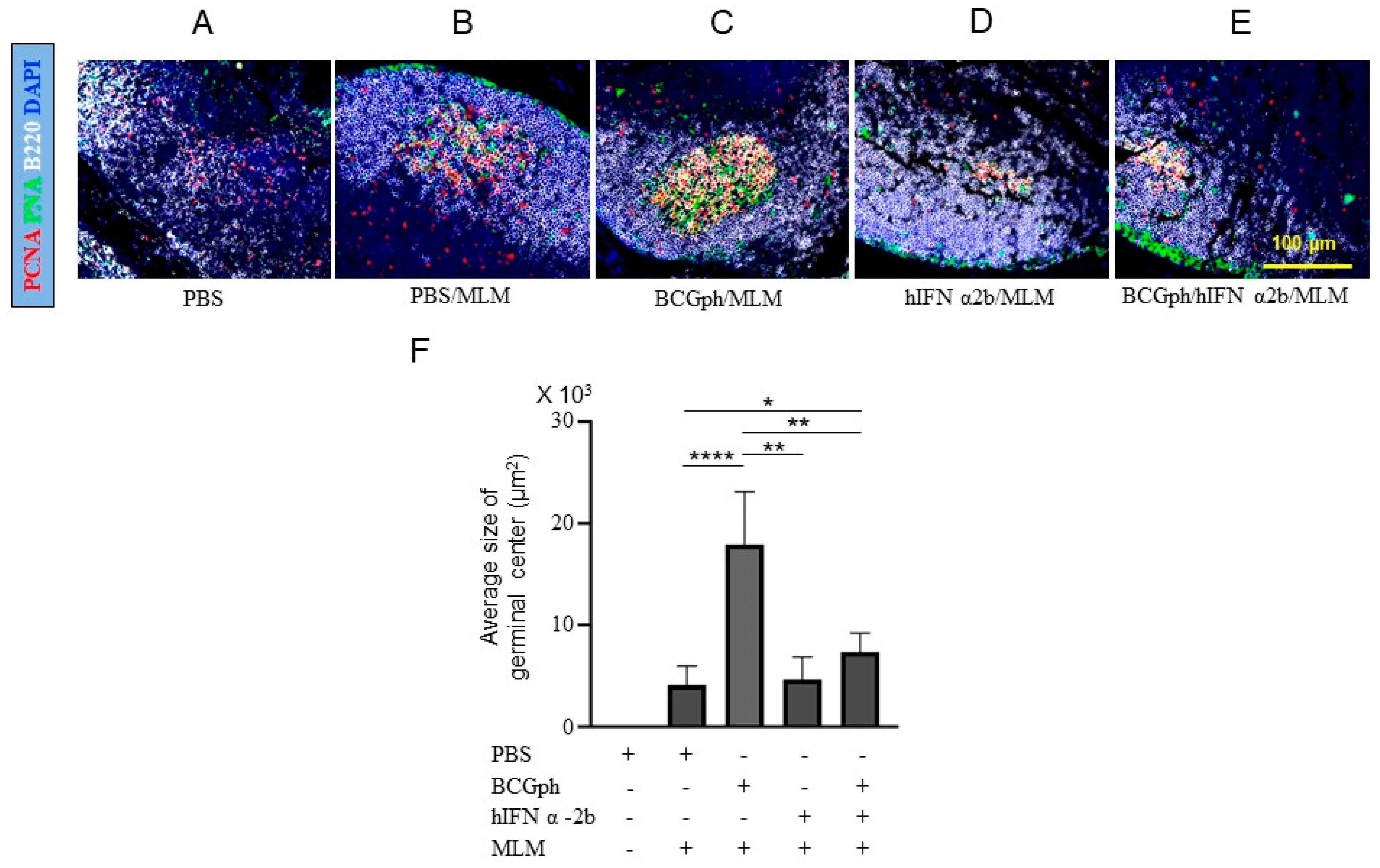 Microbiolres 12 00051 g005 Microbiolres 12 00051 g005