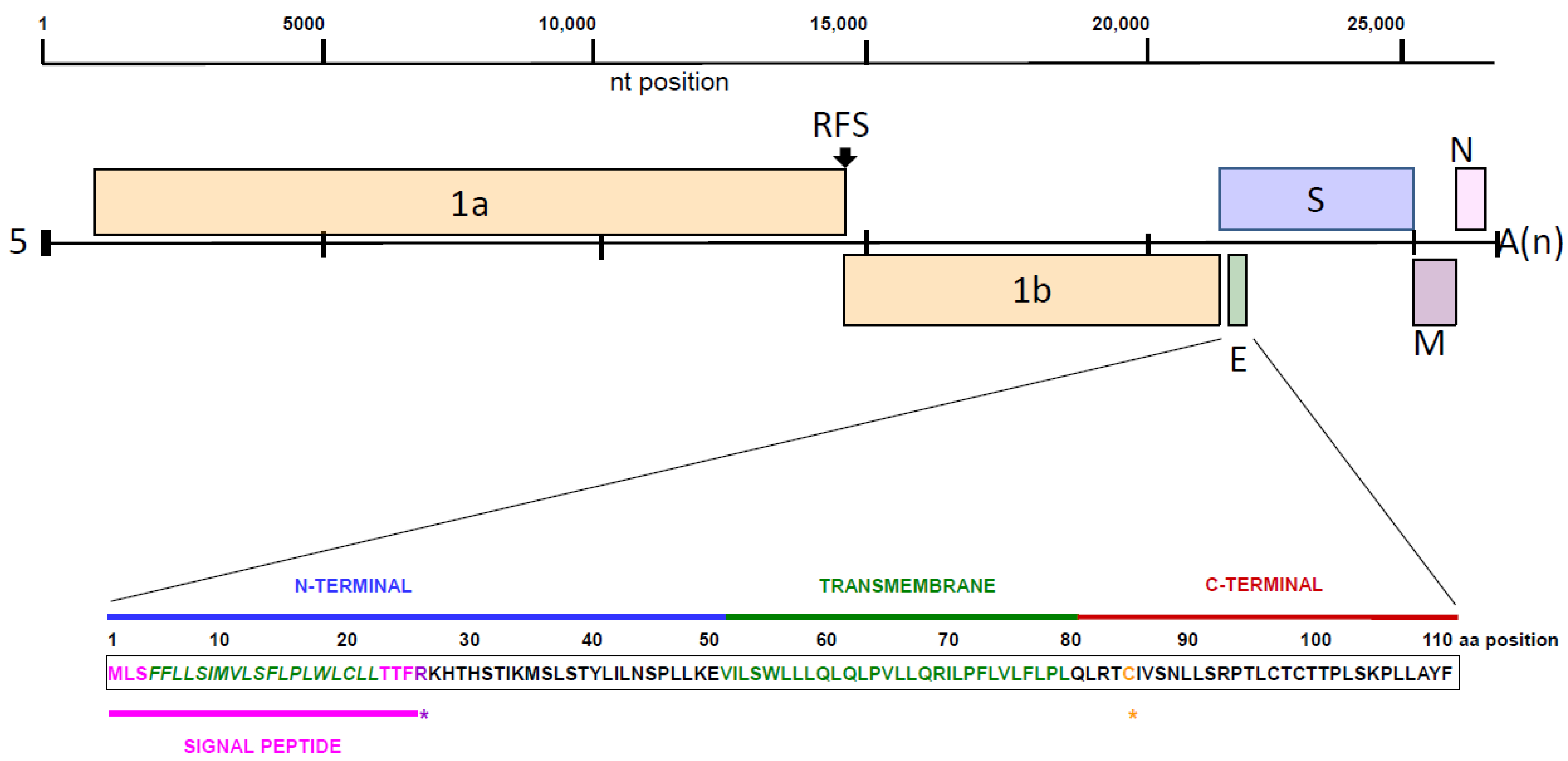 Microbiolres 12 00055 g001 550