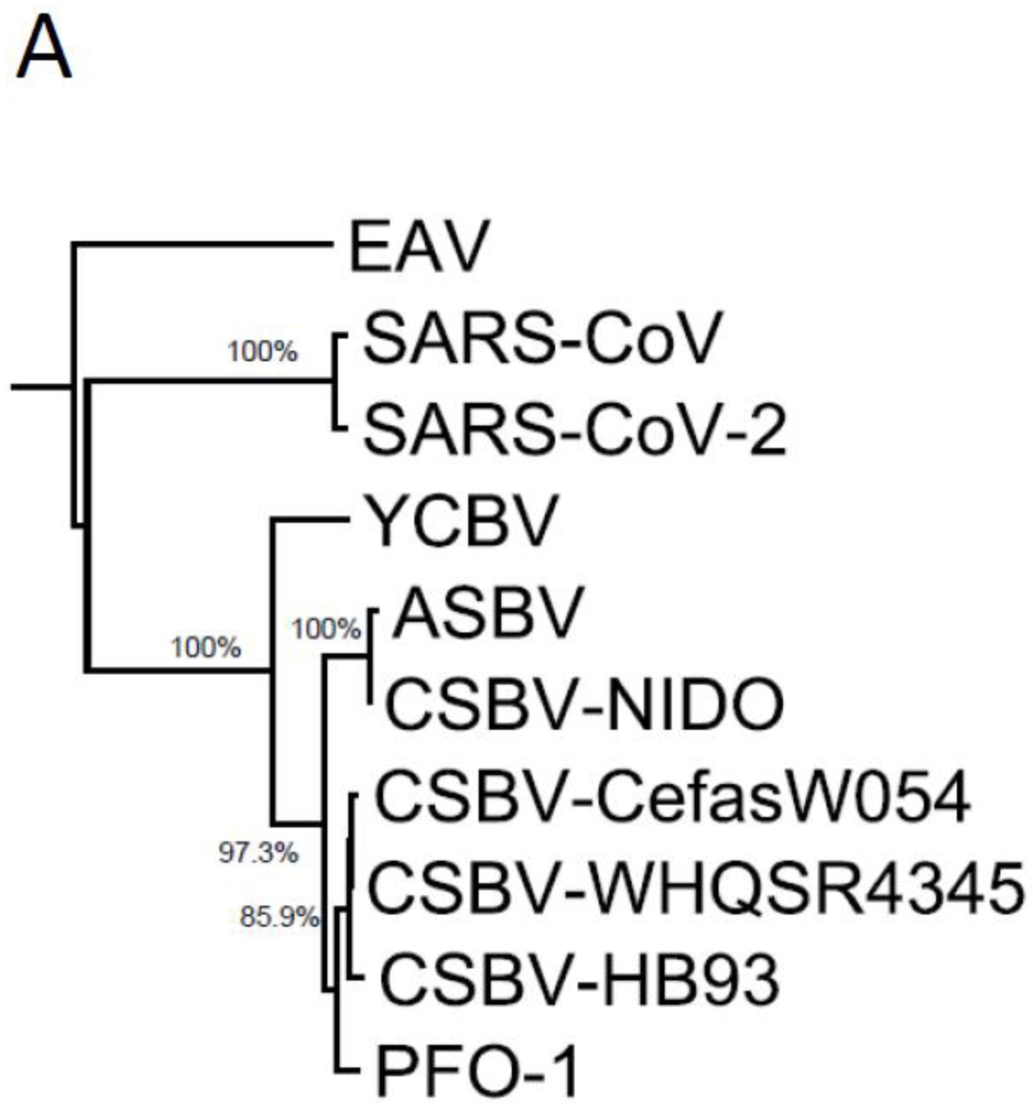 Microbiolres 12 00055 g003a 550