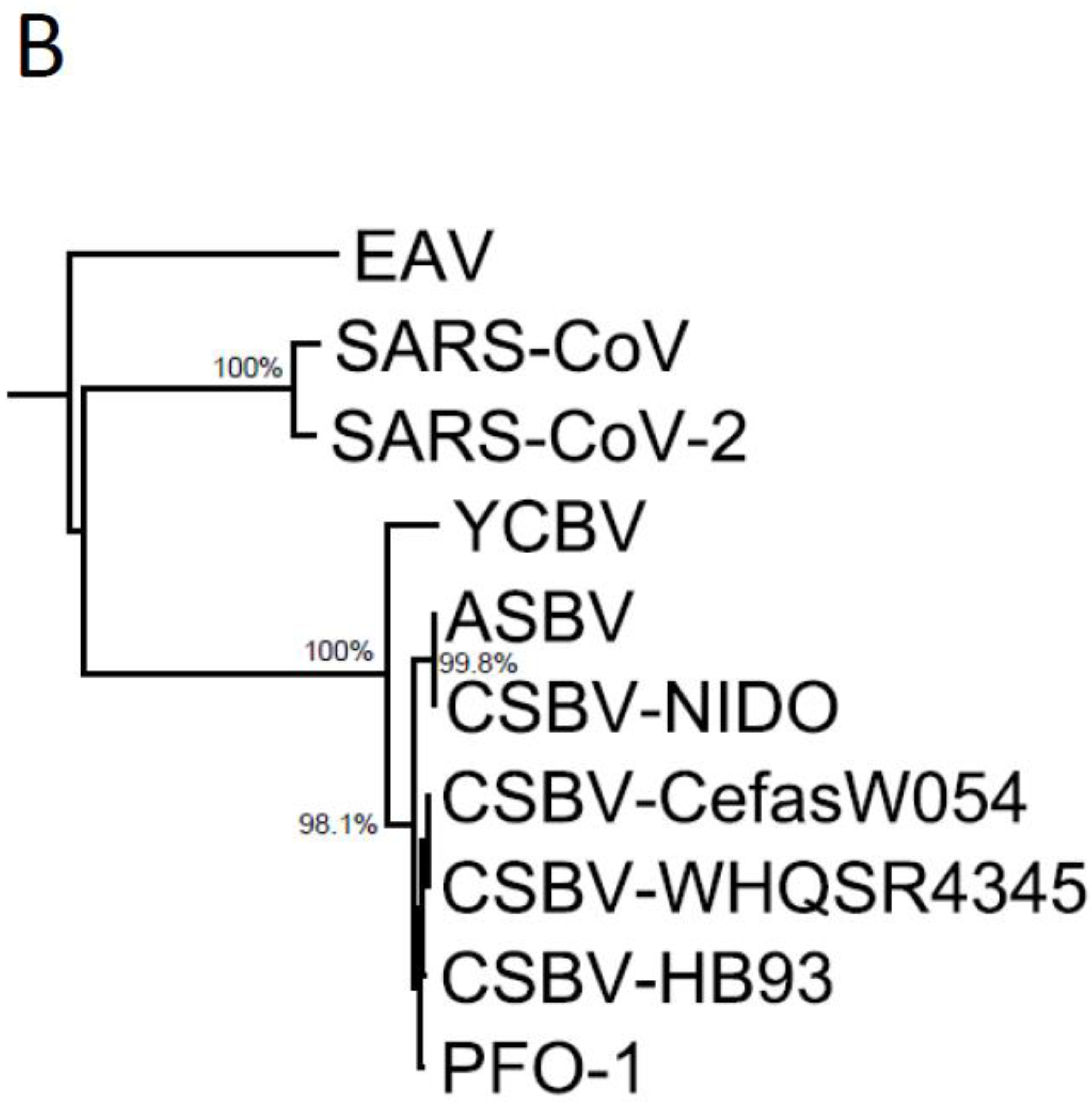 Microbiolres 12 00055 g003b 550