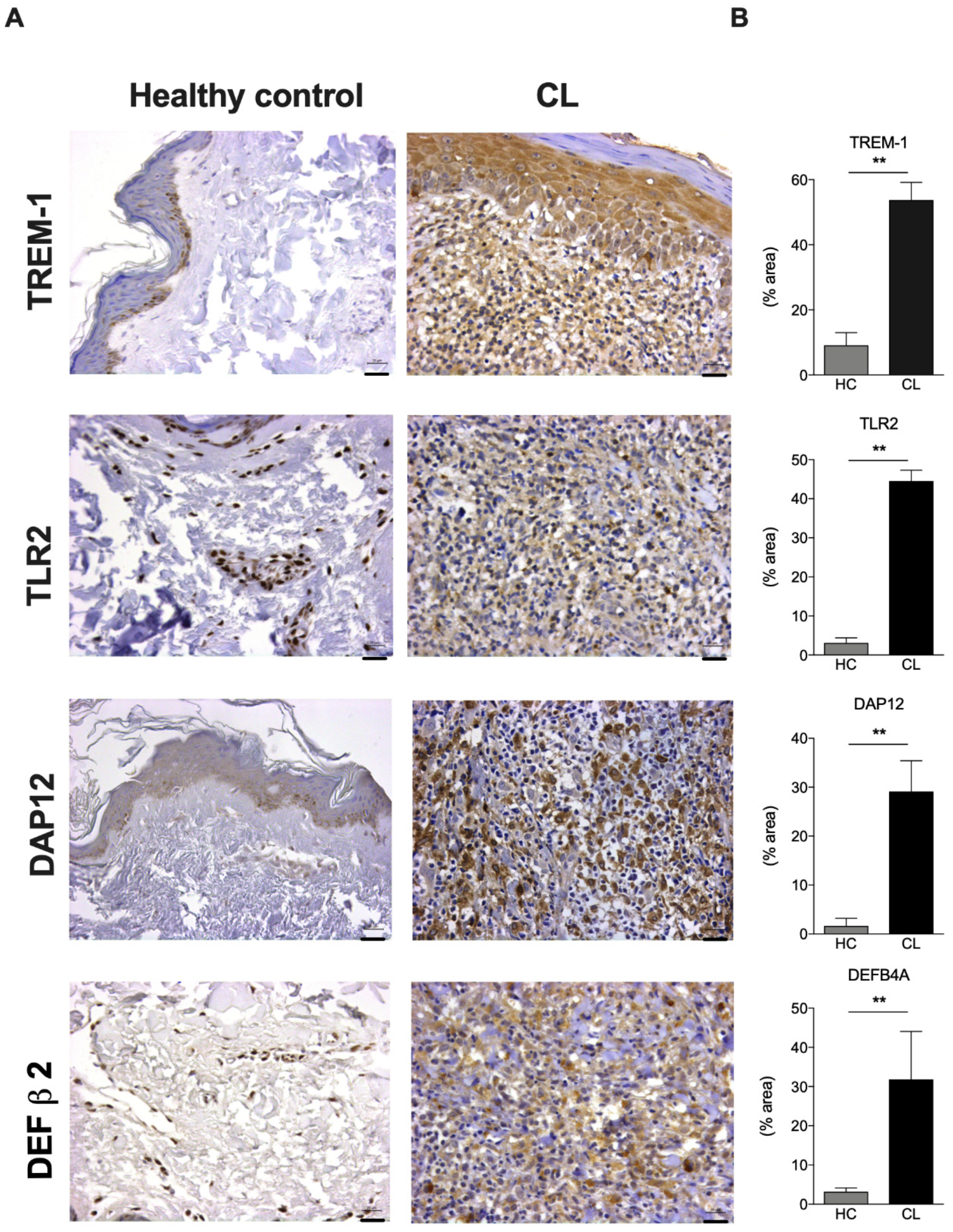 Microbiolres 12 00056 g004 550