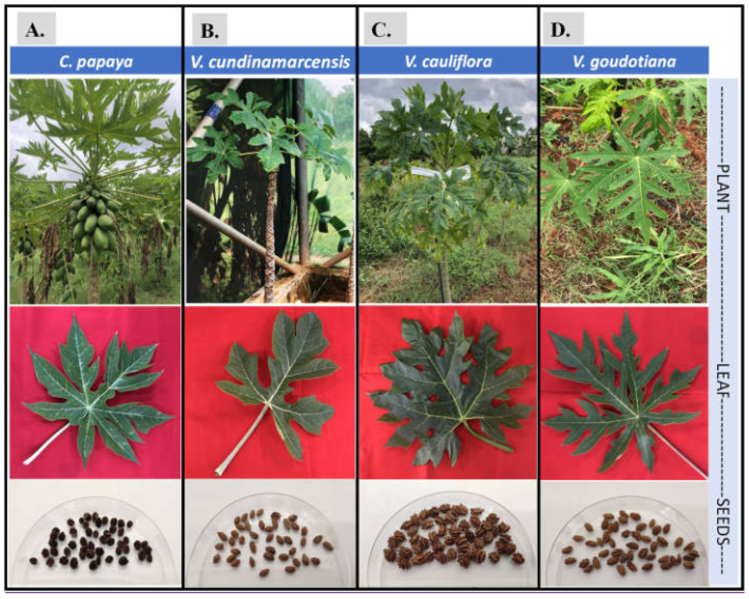 Microbiolres 12 00057 g001