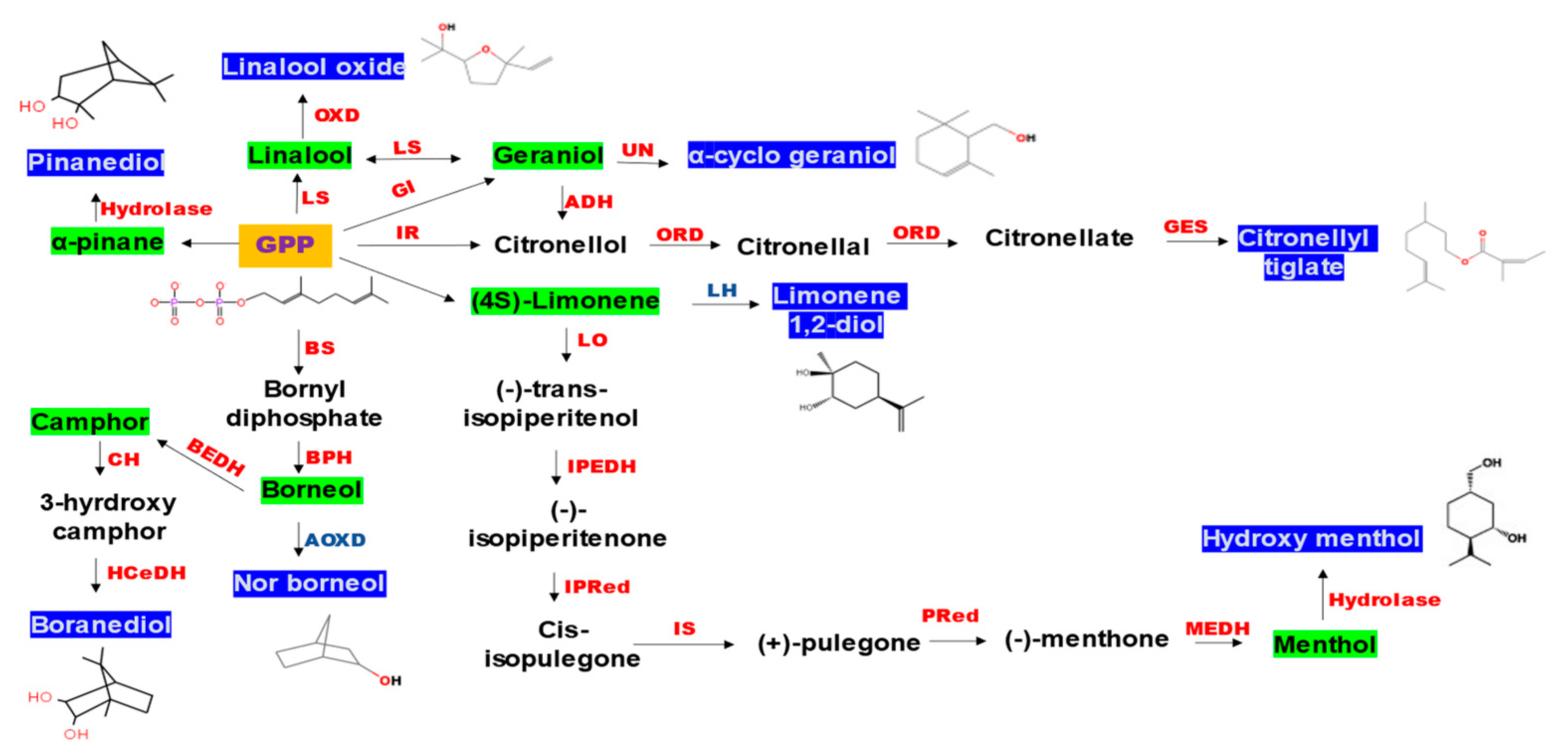 Microbiolres 12 00059 g005 550