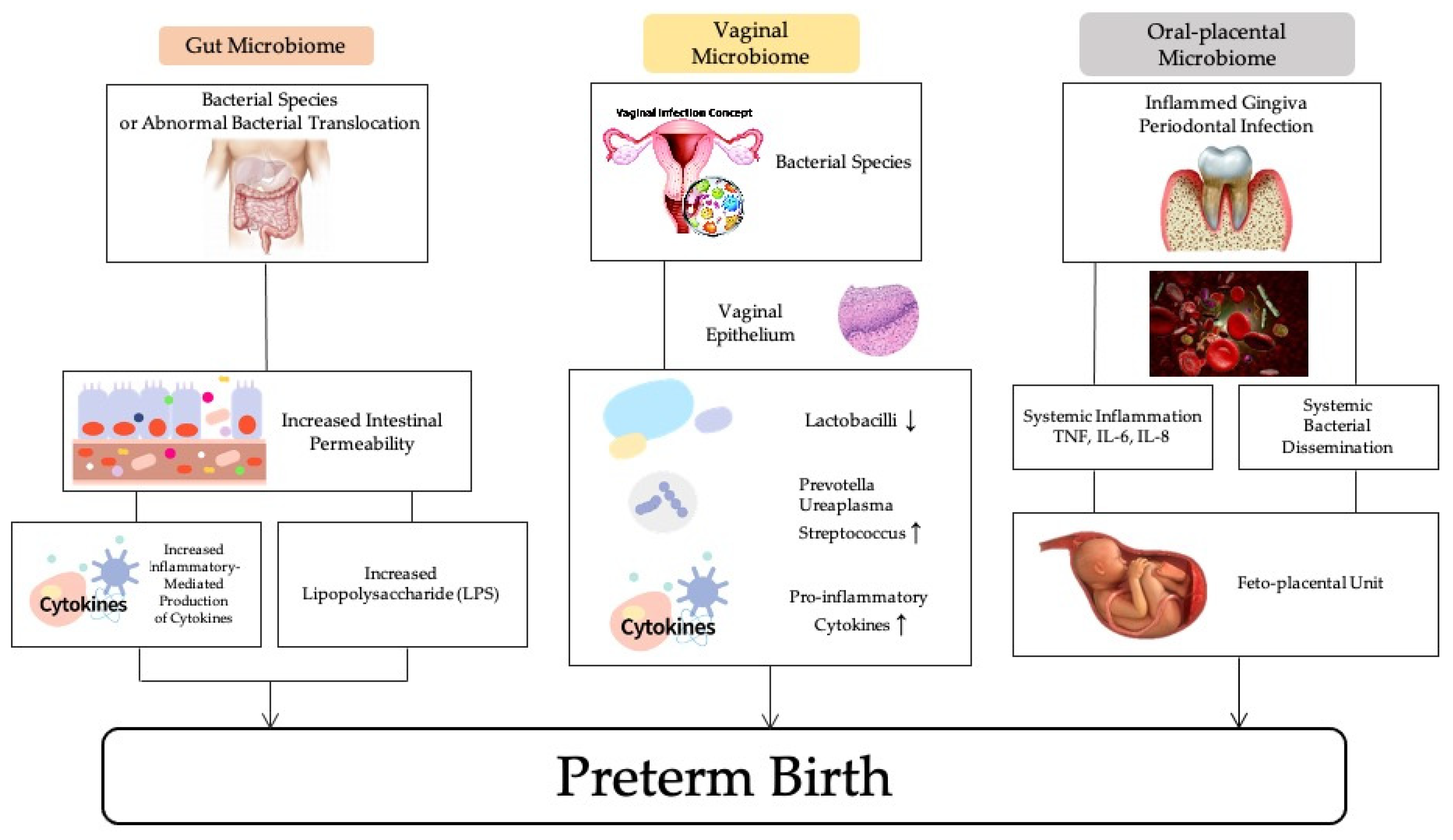 Microbiolres 13 00001 g001