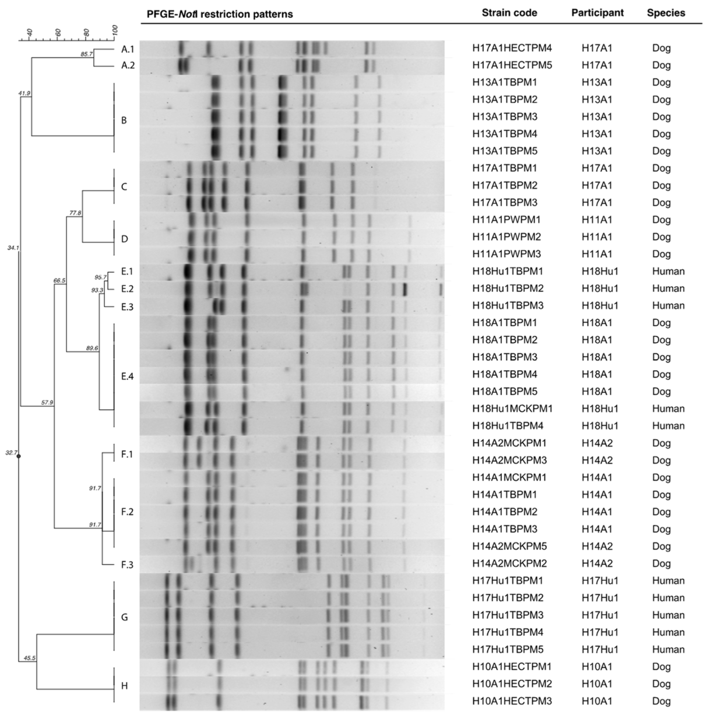 Microbiolres 13 00003 g002 550