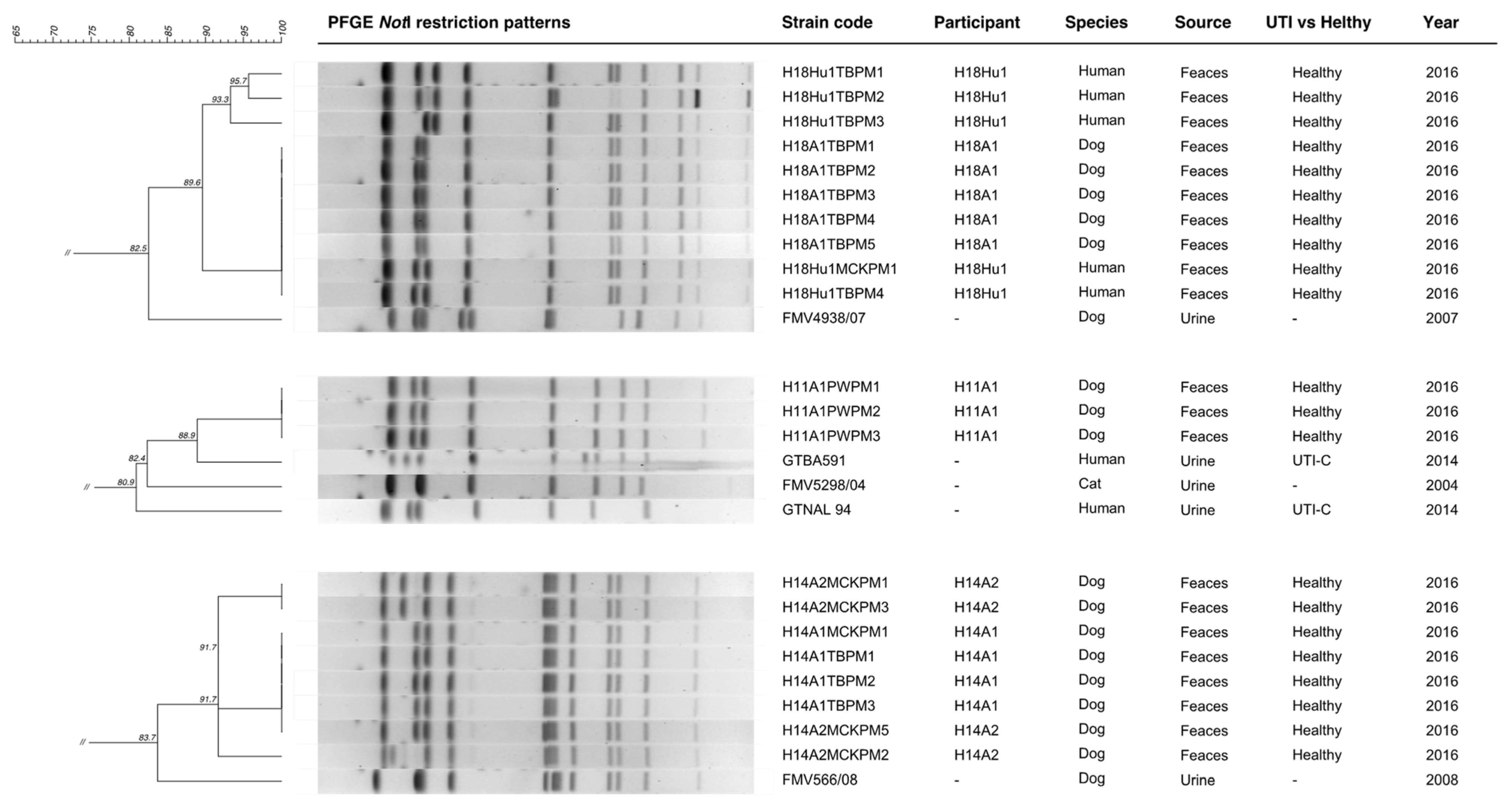 Microbiolres 13 00003 g003 550