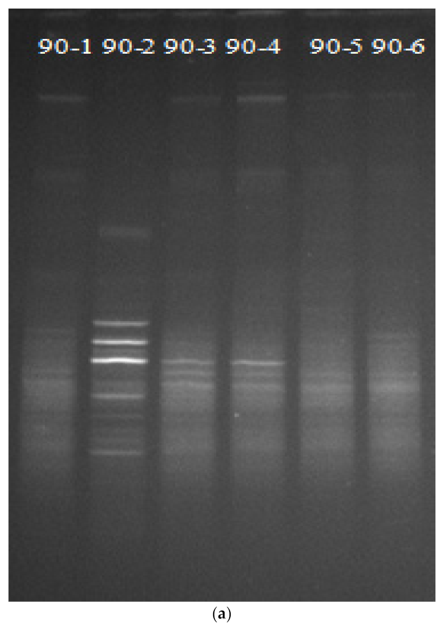 Microbiolres 13 00005 g005a Microbiolres 13 00005 g005a