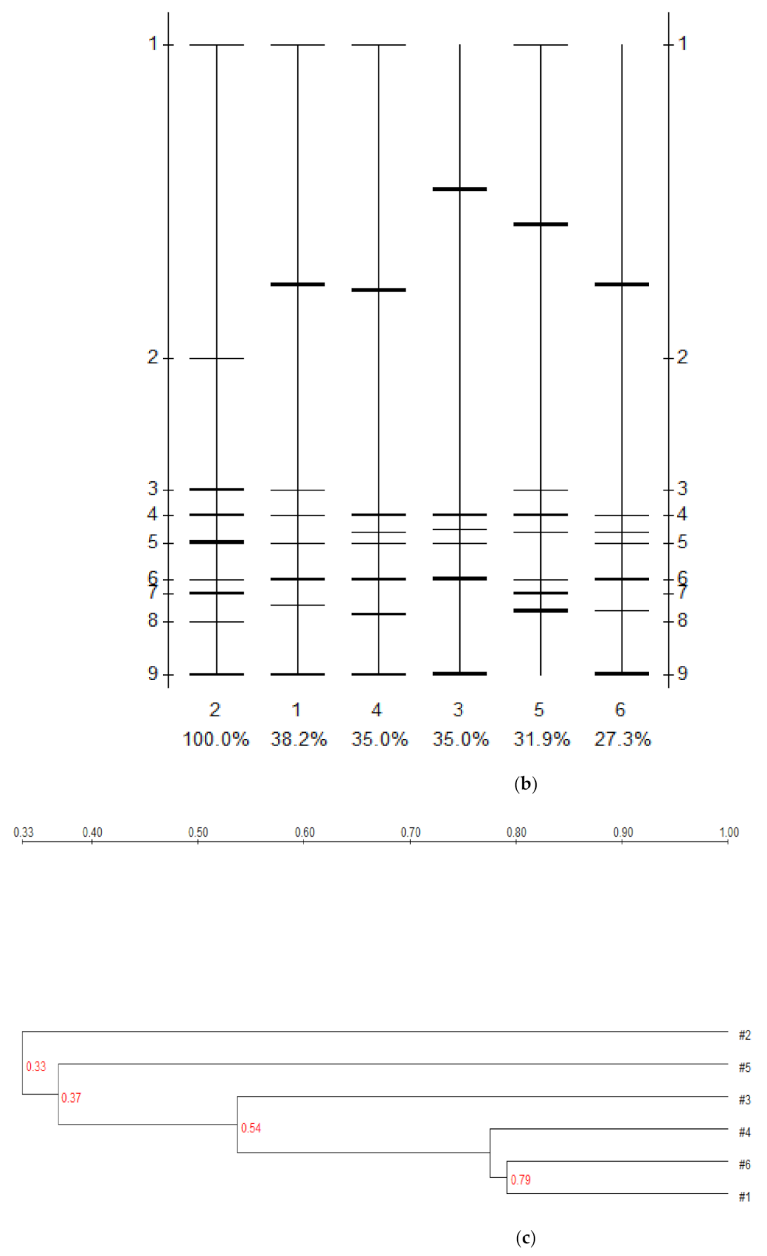 Microbiolres 13 00005 g005b Microbiolres 13 00005 g005b