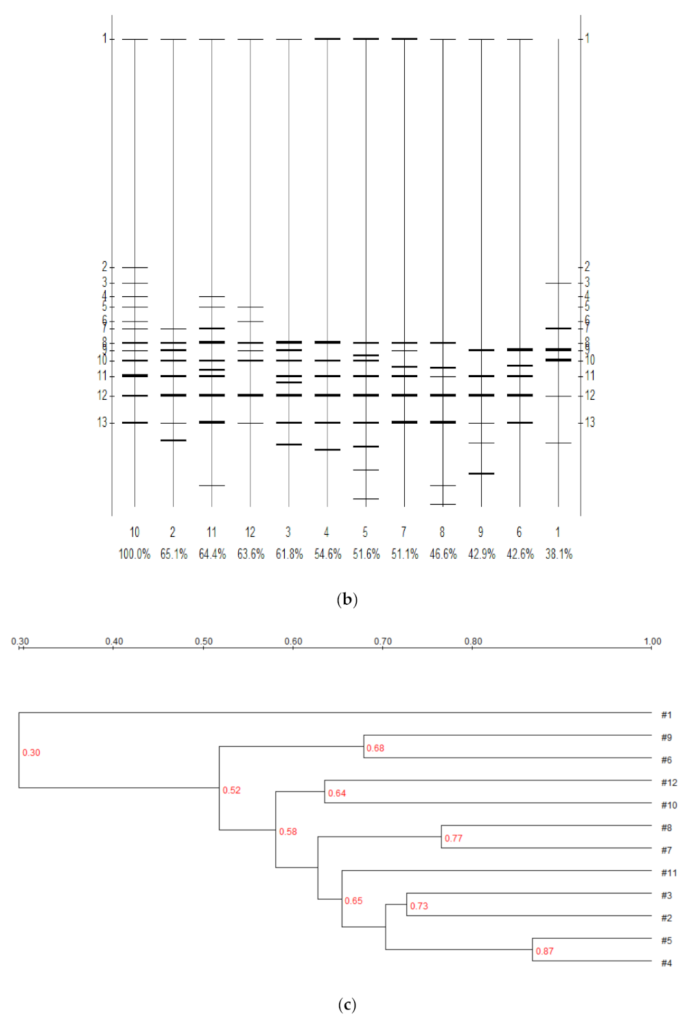 Microbiolres 13 00005 g007b Microbiolres 13 00005 g007b