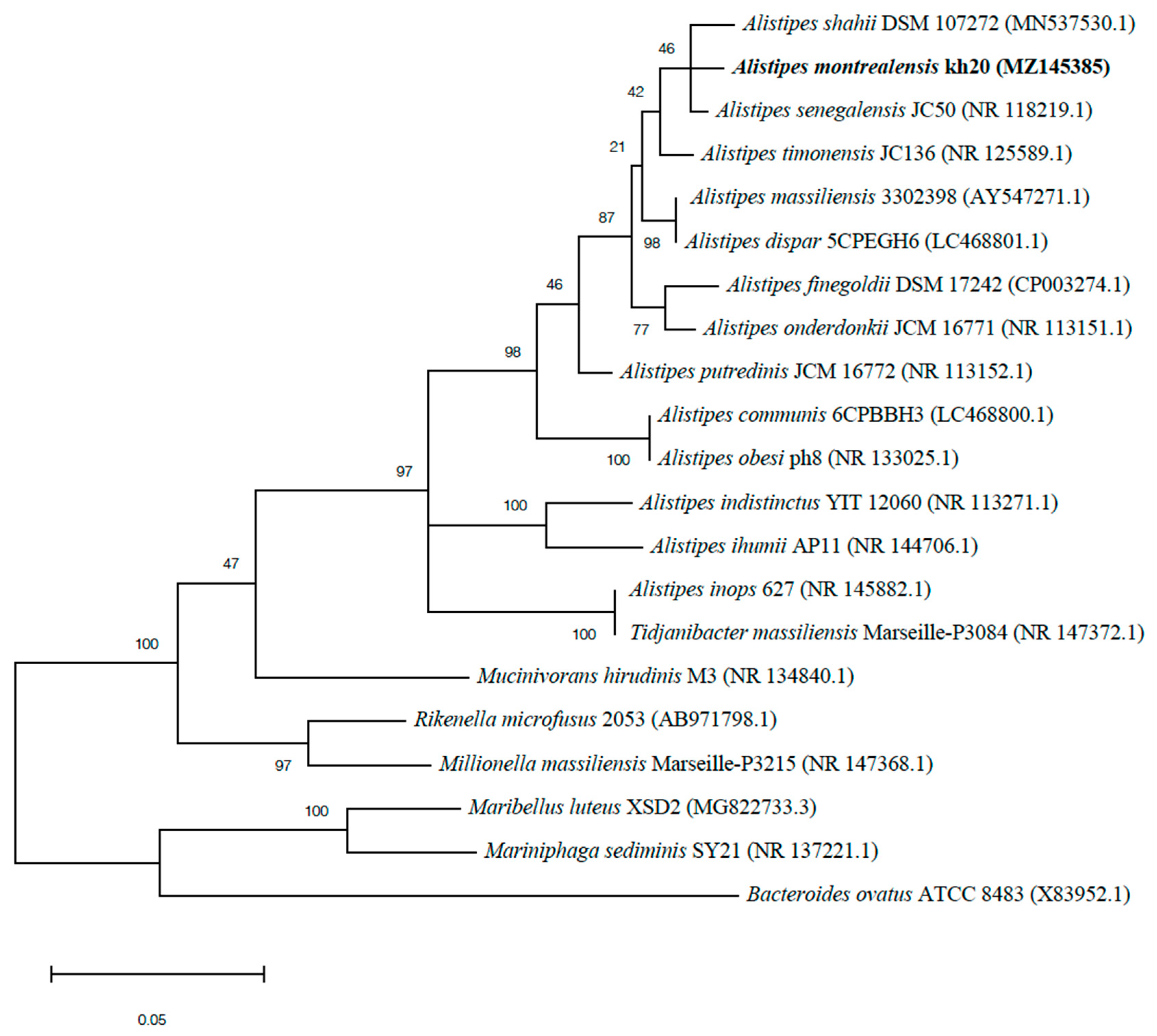 Microbiolres 13 00012 g001