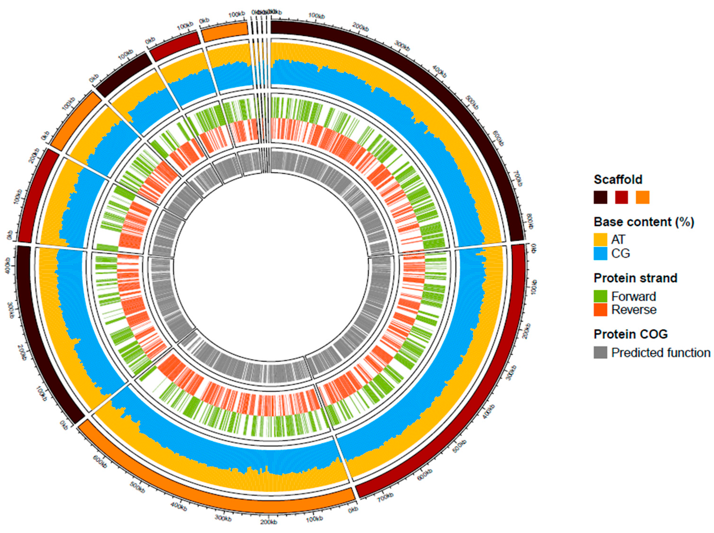 Microbiolres 13 00012 g003