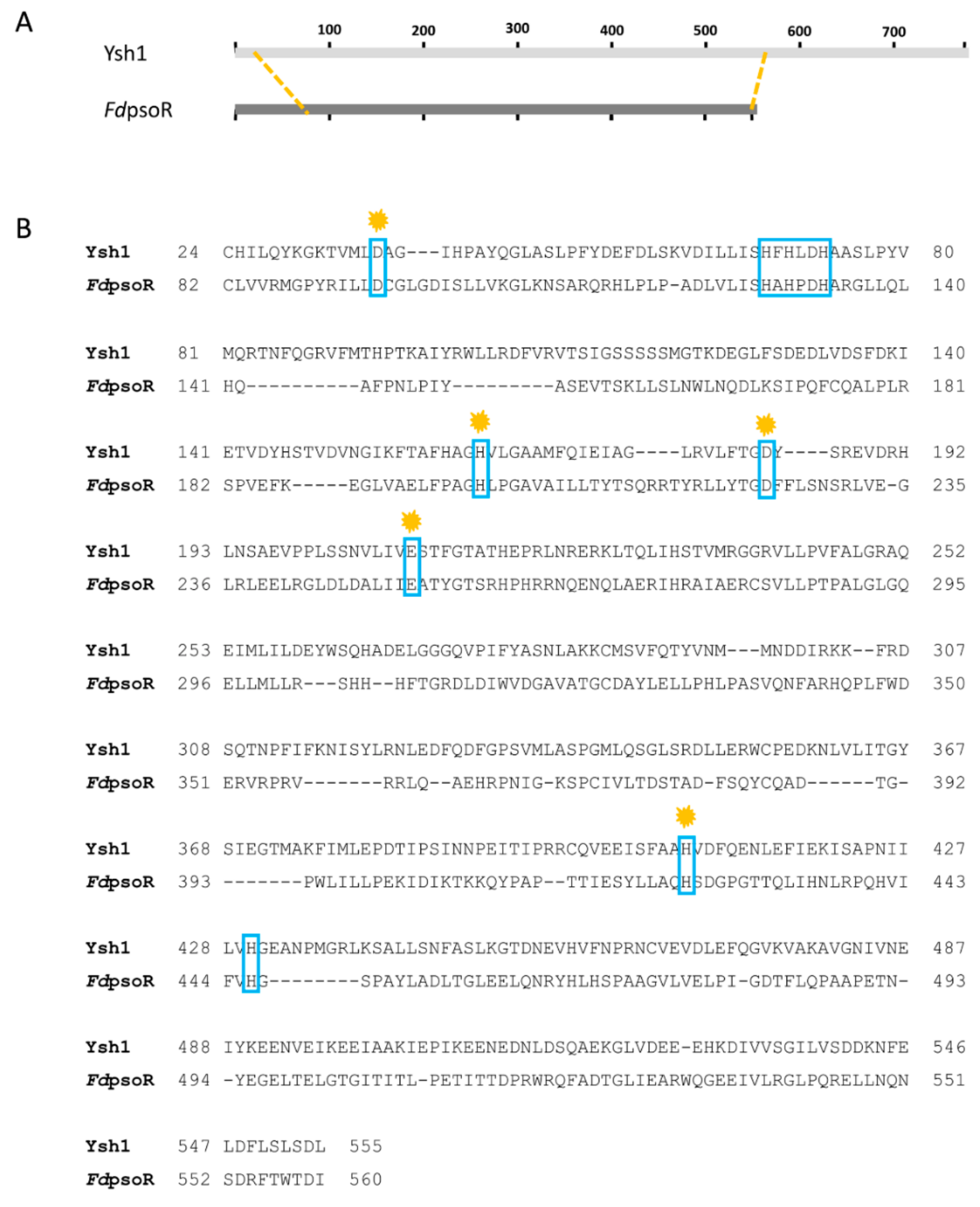 Microbiolres 13 00014 g003 Microbiolres 13 00014 g003