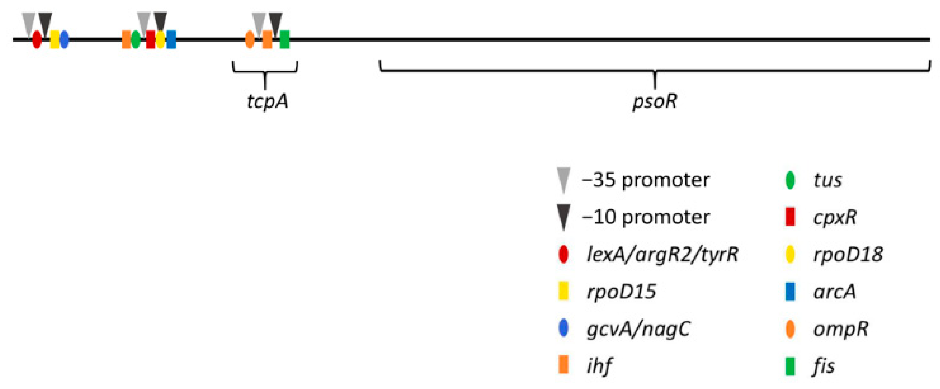 Microbiolres 13 00014 g005 Microbiolres 13 00014 g005