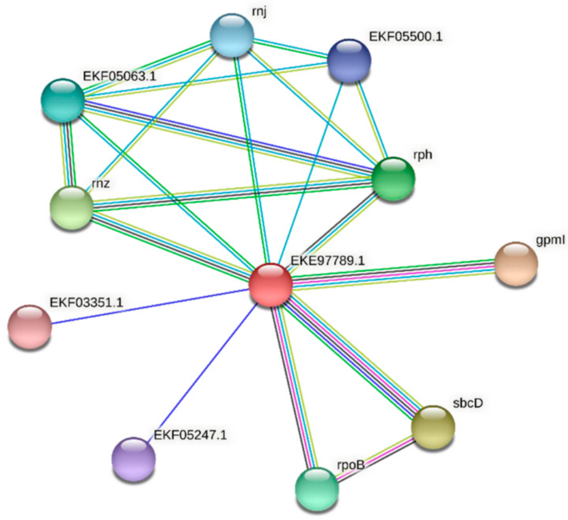 Microbiolres 13 00014 g006 Microbiolres 13 00014 g006