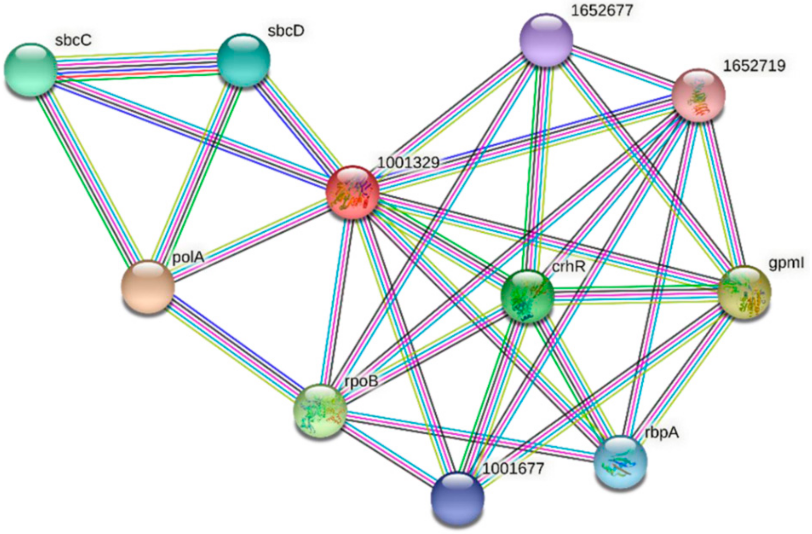 Microbiolres 13 00014 g007 Microbiolres 13 00014 g007