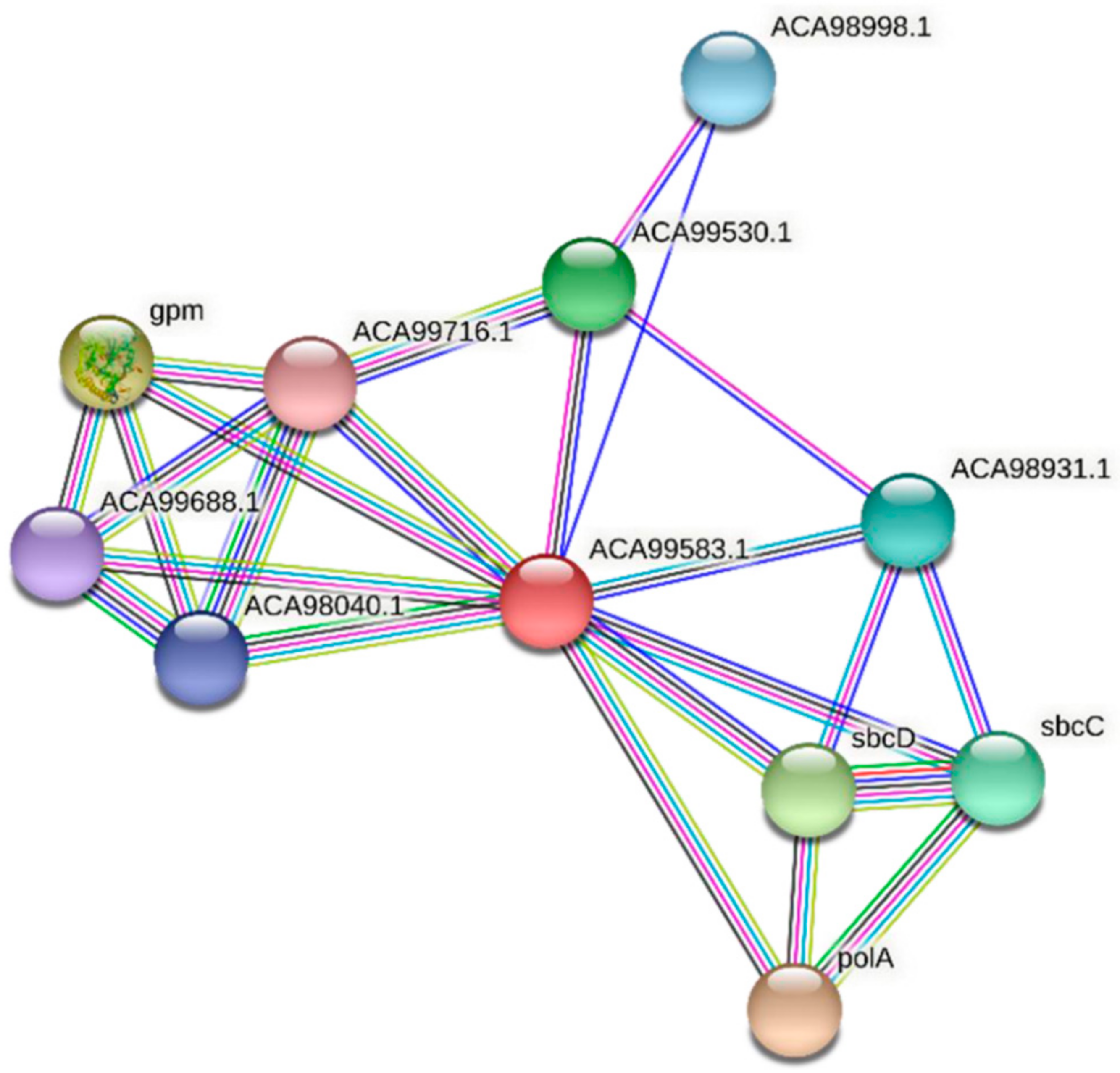 Microbiolres 13 00014 g008 Microbiolres 13 00014 g008