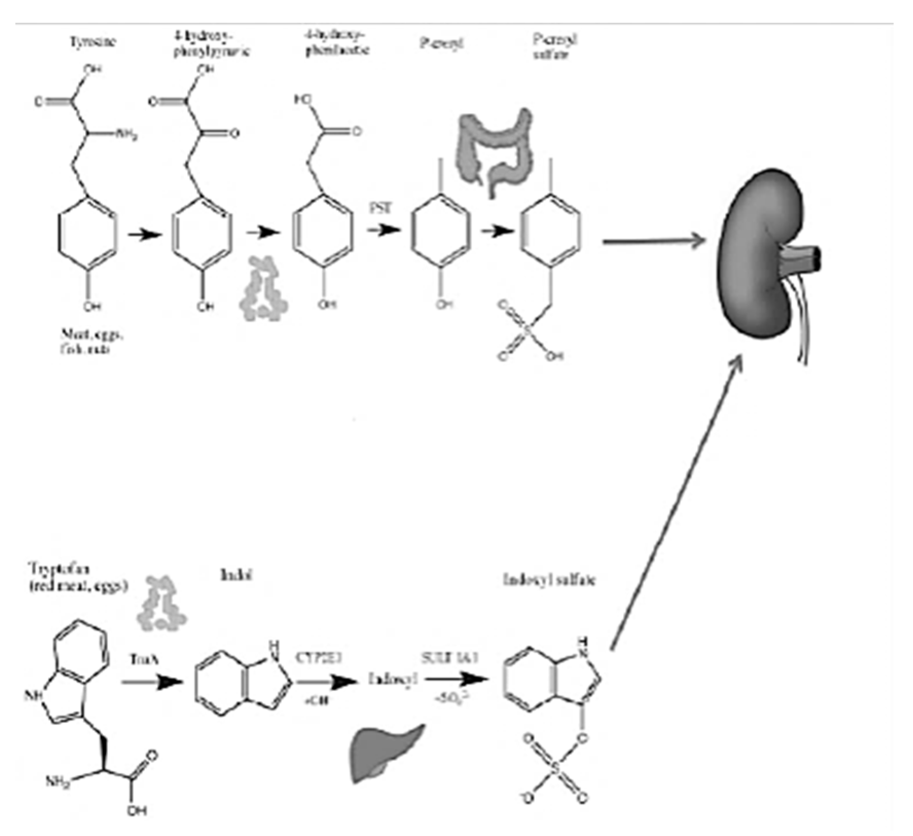 Microbiolres 13 00015 g001 550