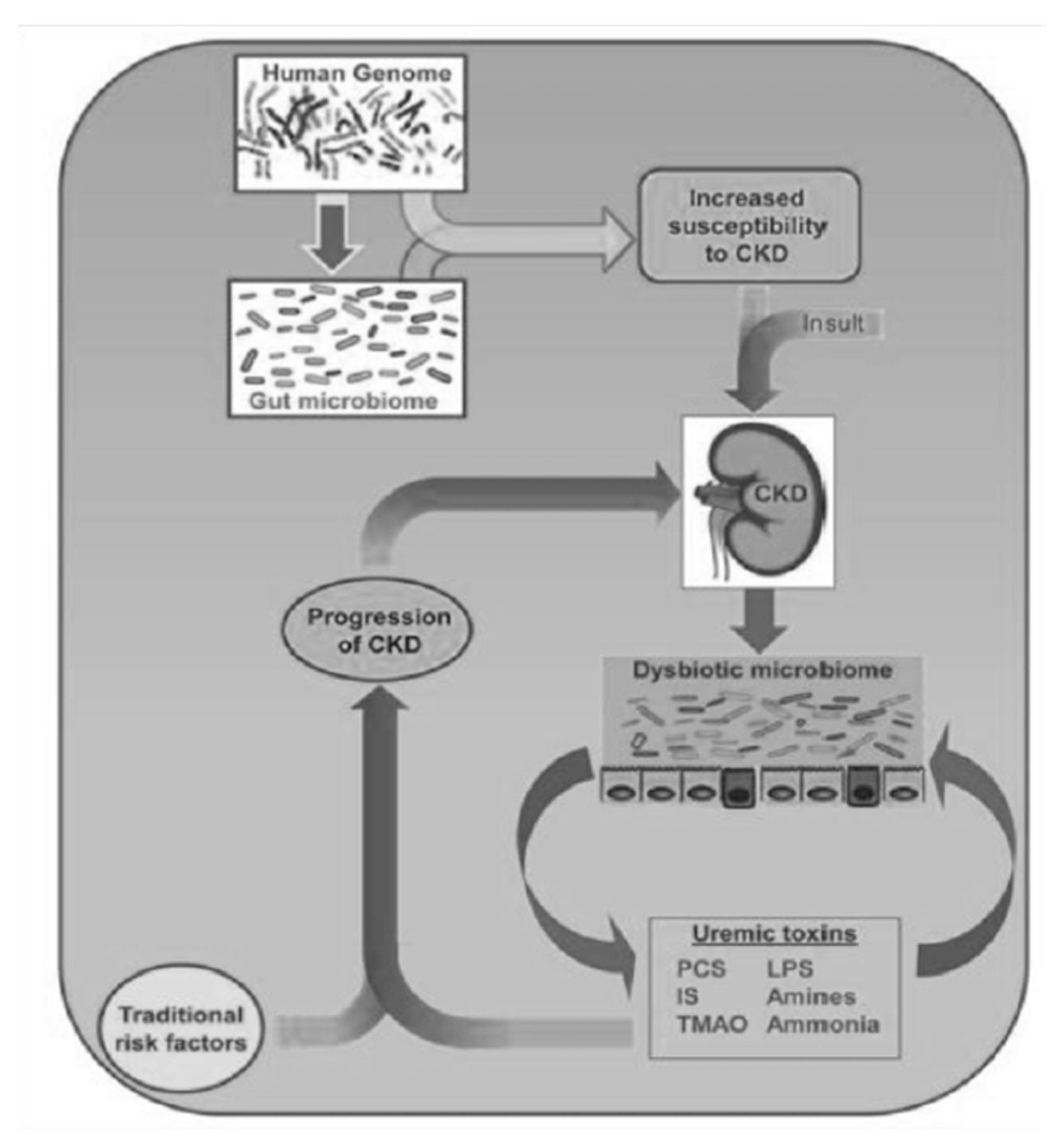 Microbiolres 13 00015 g002 550