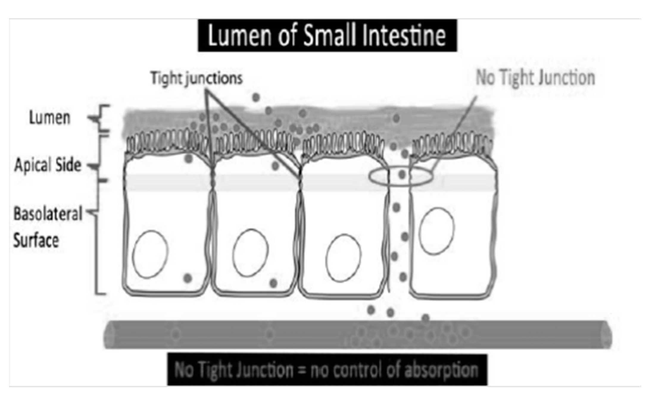 Microbiolres 13 00015 g003 550