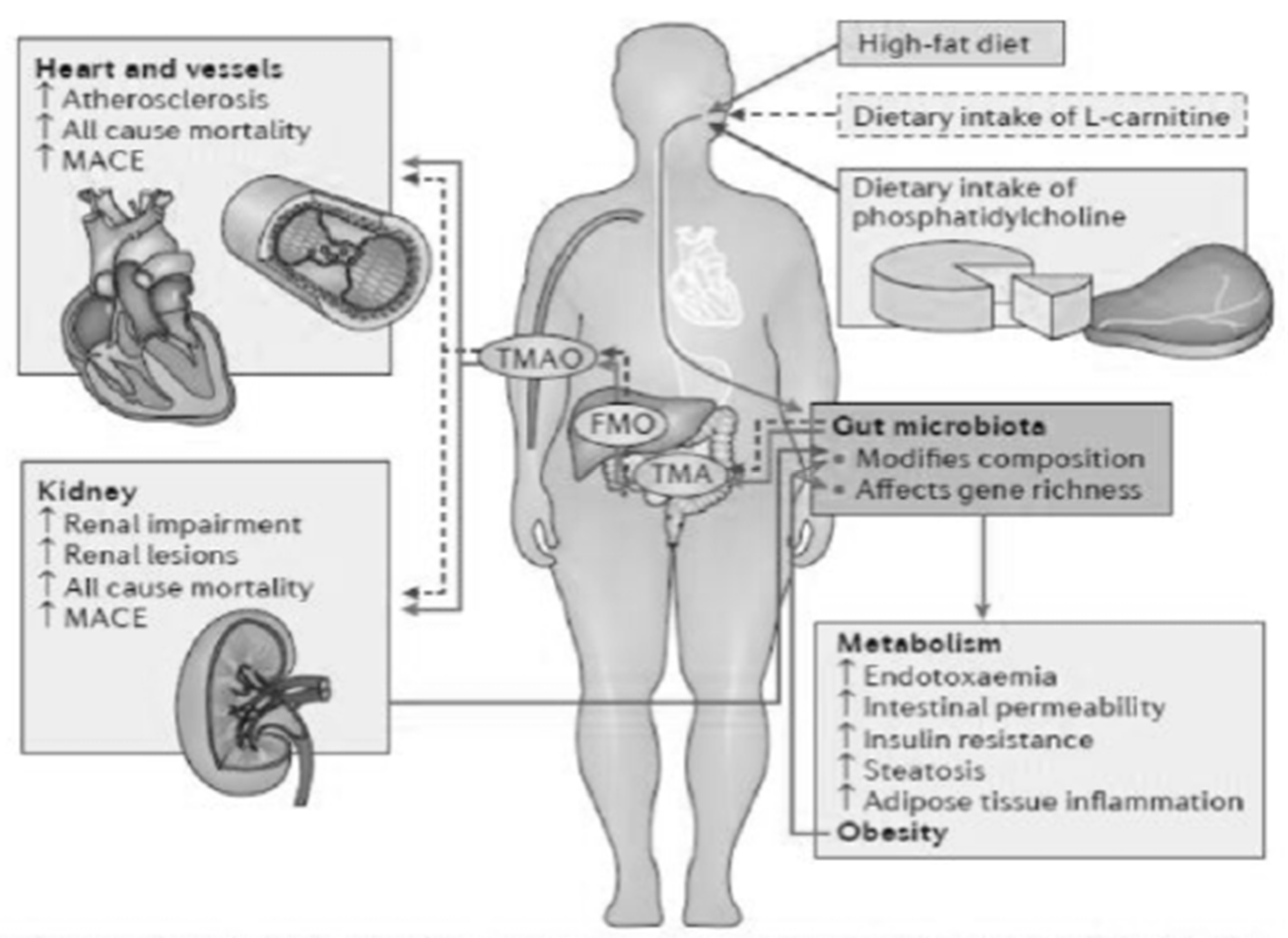 Microbiolres 13 00015 g004 550