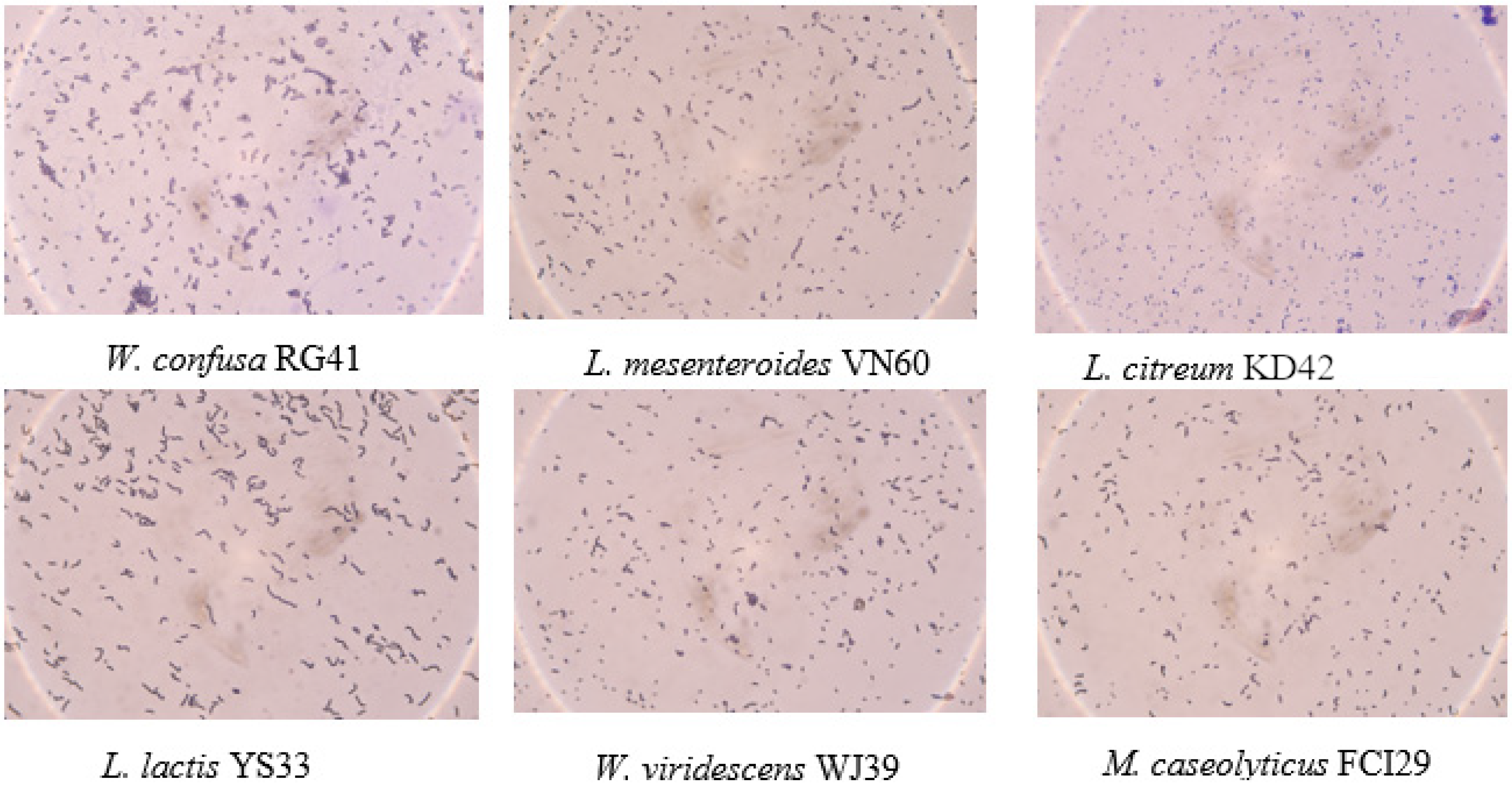 Microbiolres 13 00022 g002 550