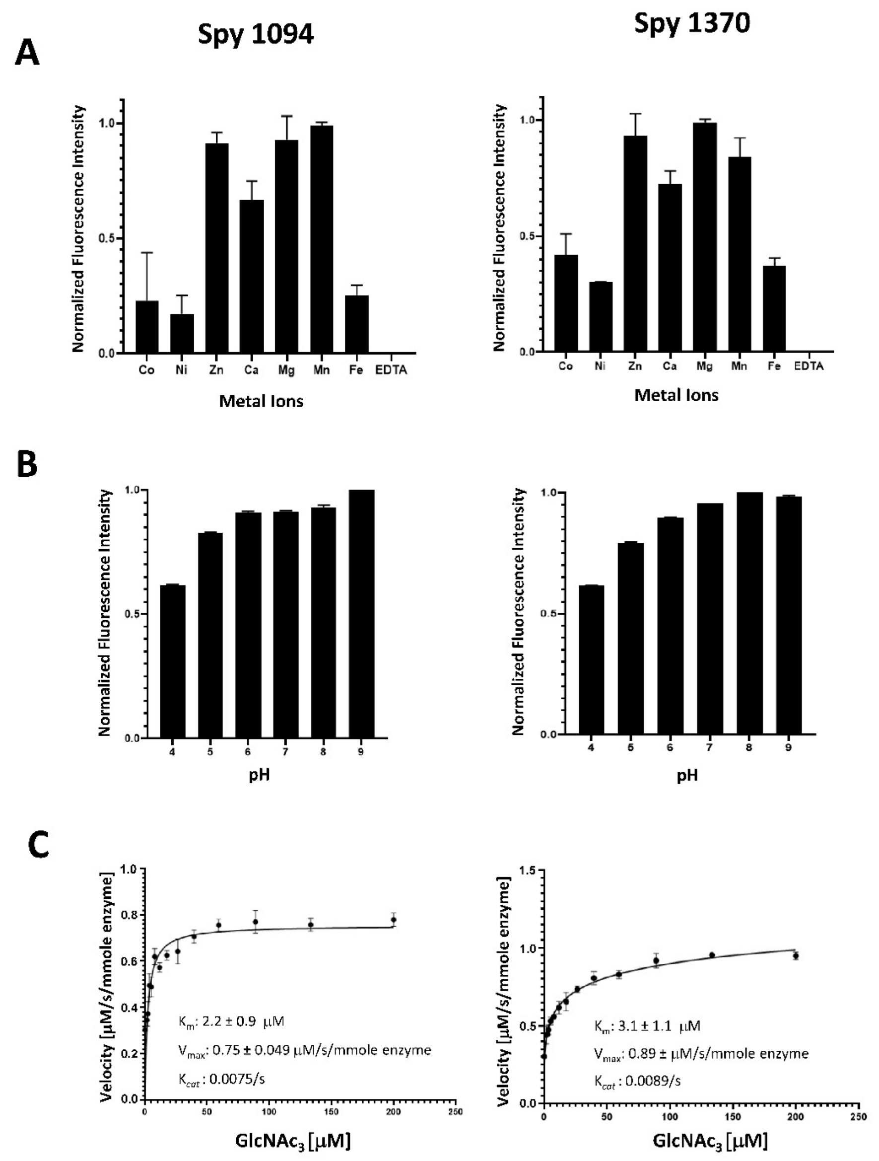 Microbiolres 13 00025 g002 Microbiolres 13 00025 g002