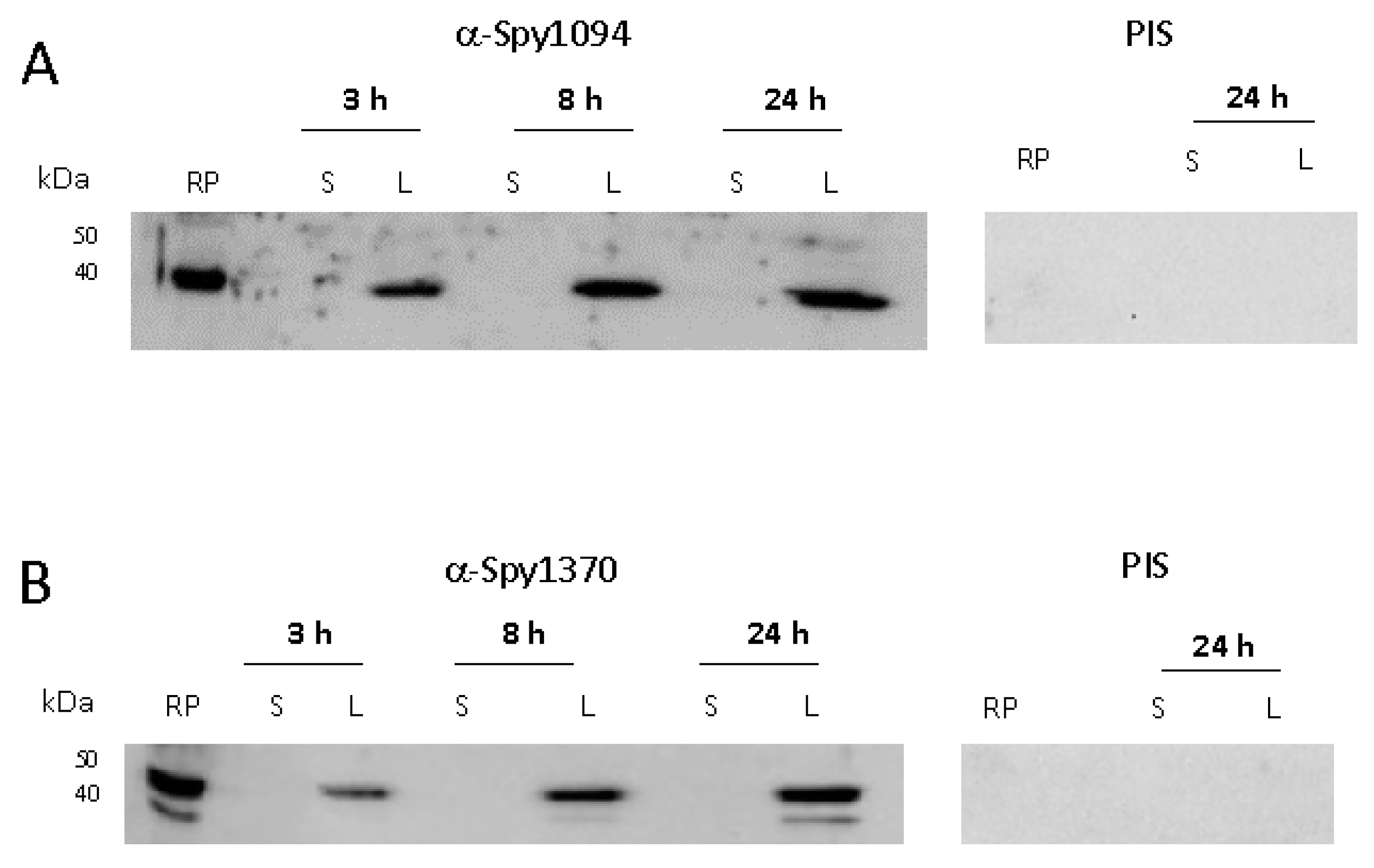Microbiolres 13 00025 g003 Microbiolres 13 00025 g003