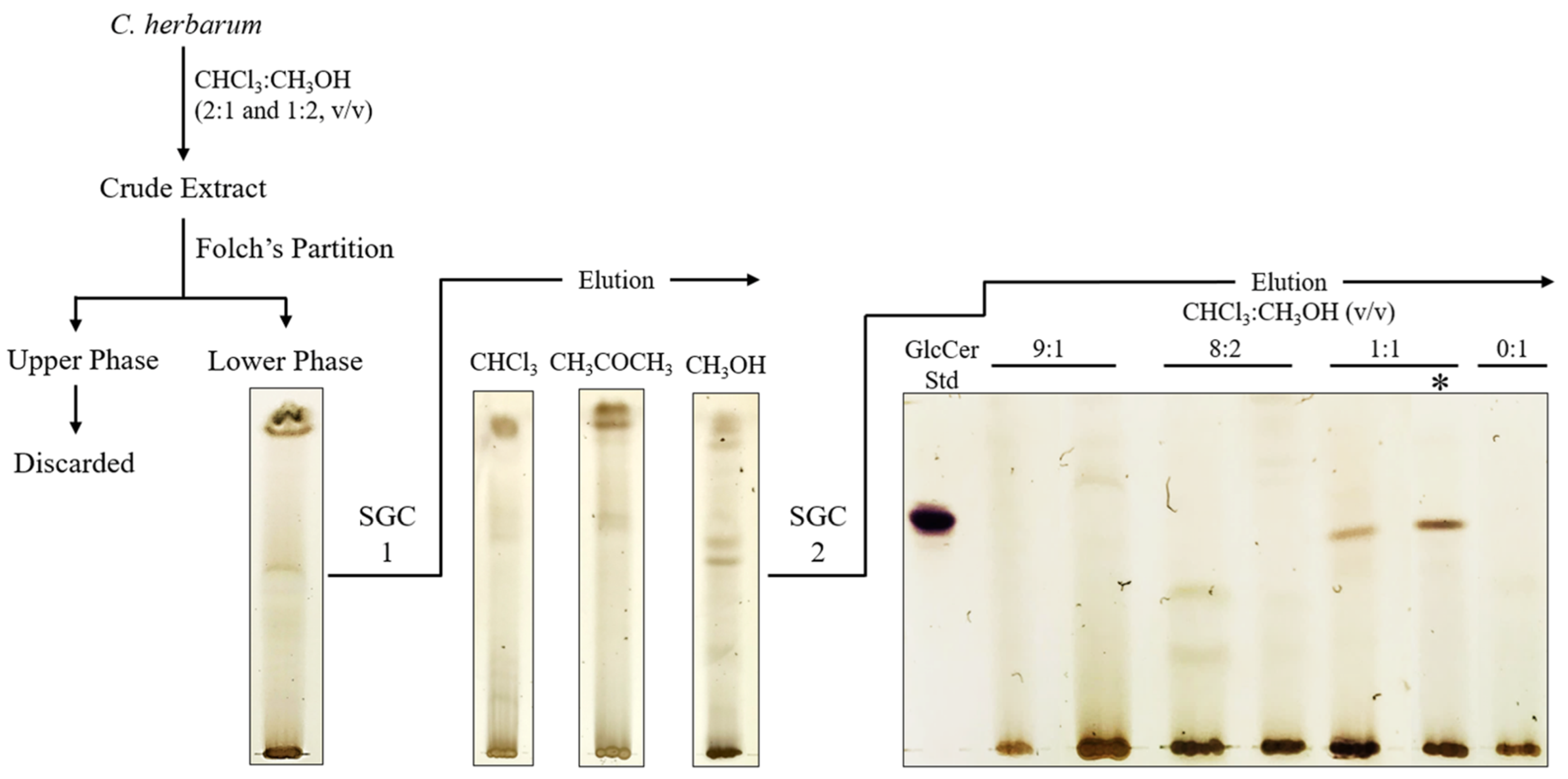 Microbiolres 13 00028 g001 Microbiolres 13 00028 g001