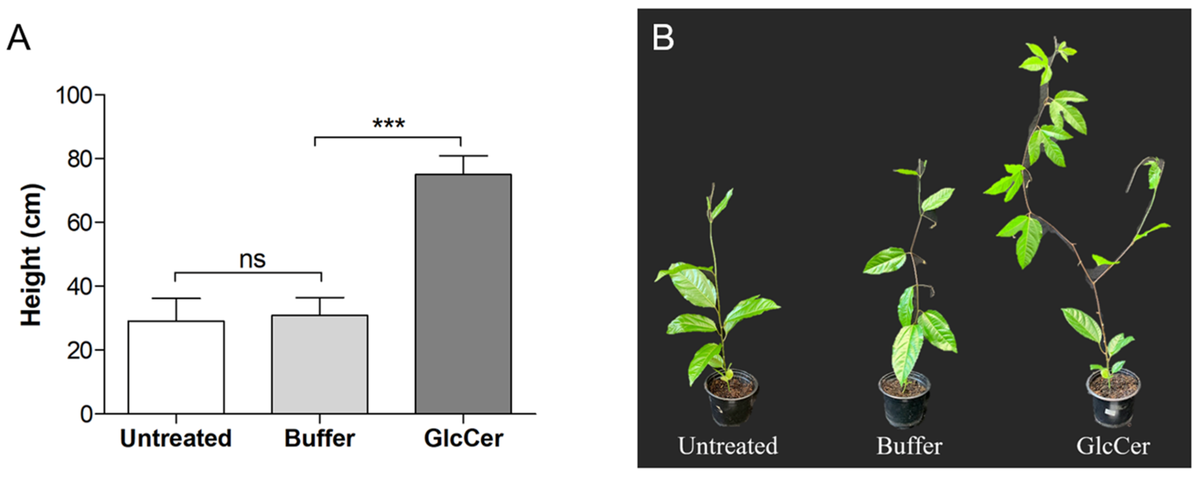 Microbiolres 13 00028 g008 Microbiolres 13 00028 g008