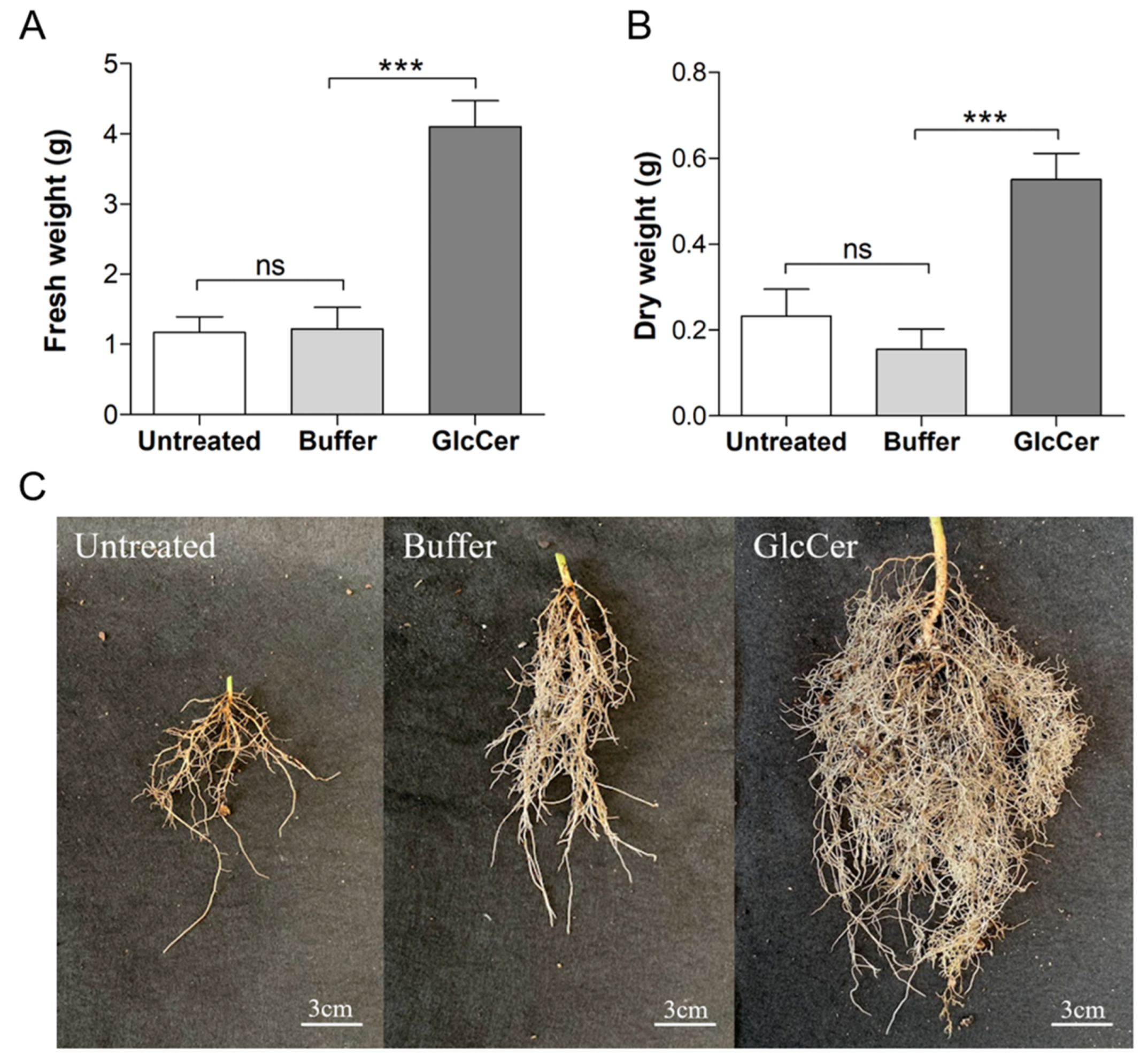 Microbiolres 13 00028 g009 Microbiolres 13 00028 g009