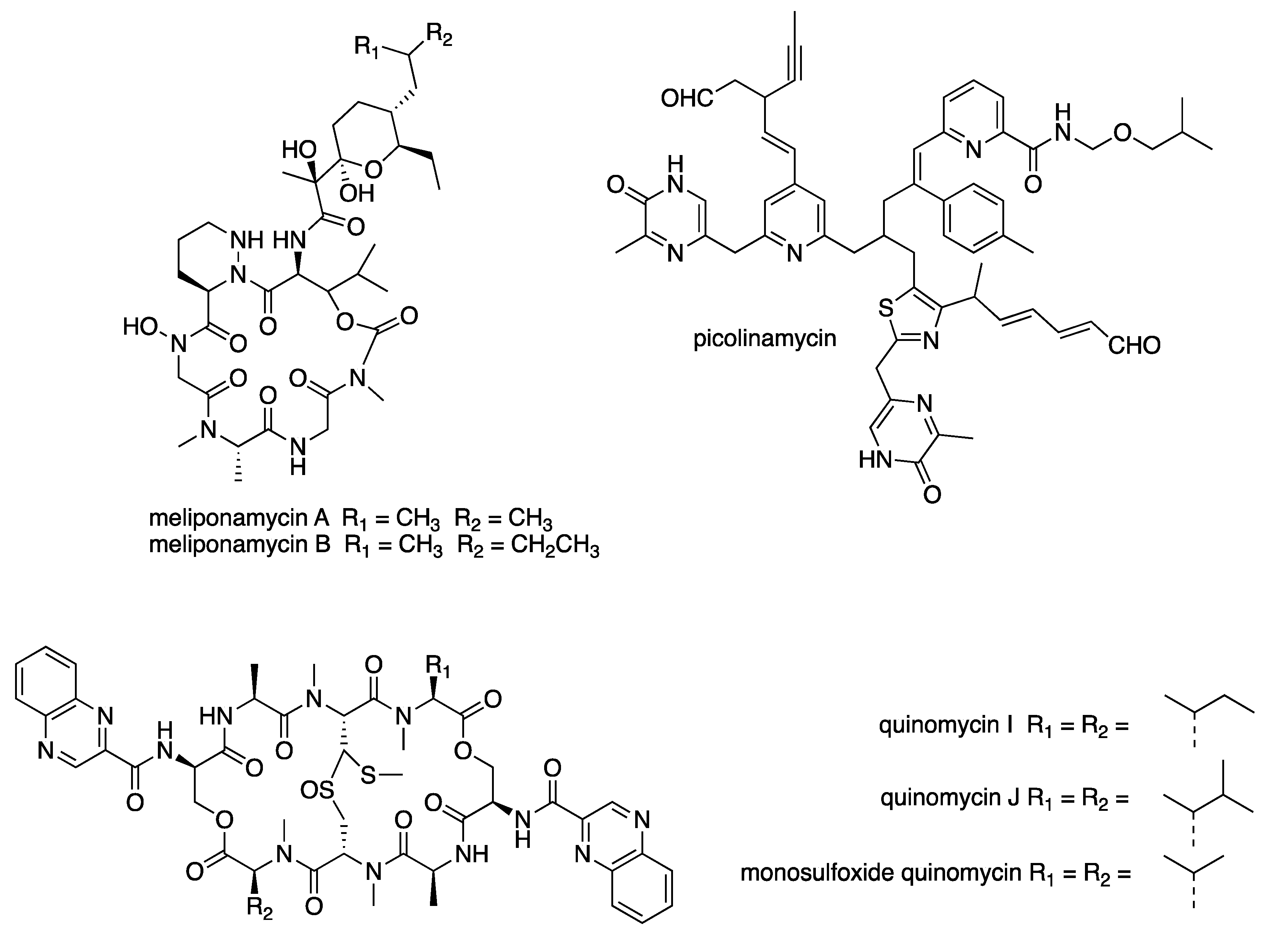 Microbiolres 13 00031 g005a Microbiolres 13 00031 g005a