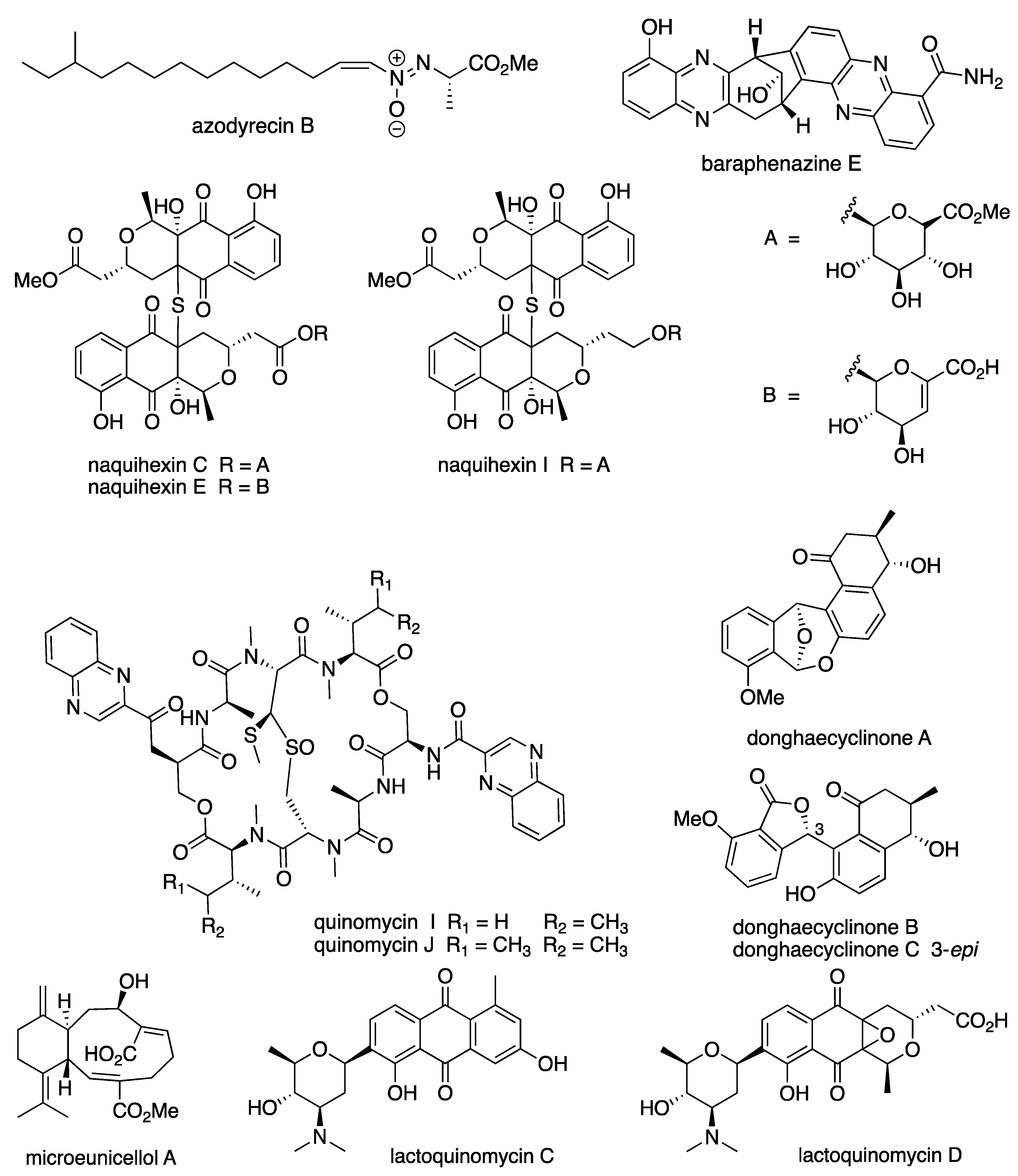 Microbiolres 13 00031 g006 Microbiolres 13 00031 g006
