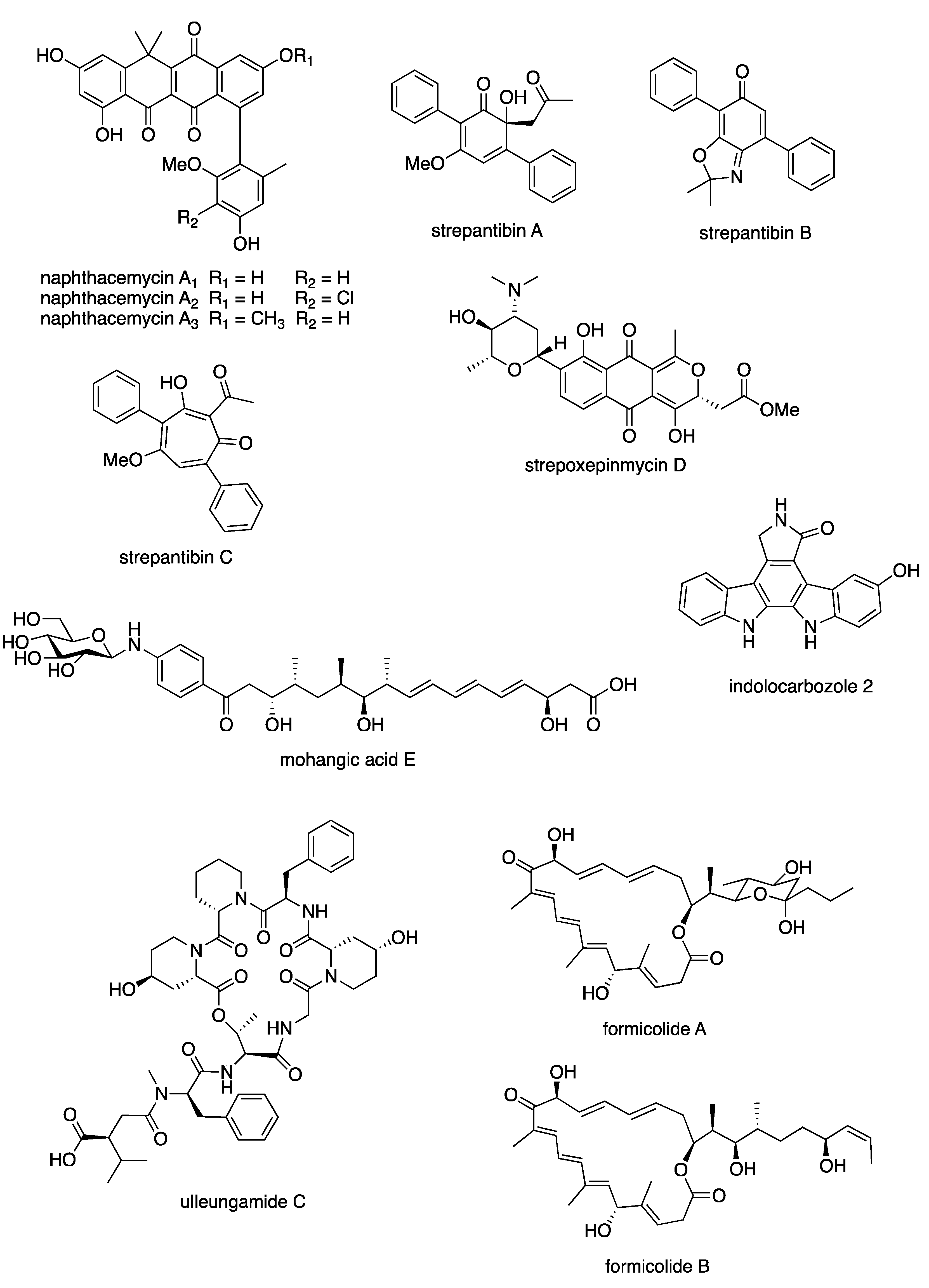 Microbiolres 13 00031 g007 Microbiolres 13 00031 g007