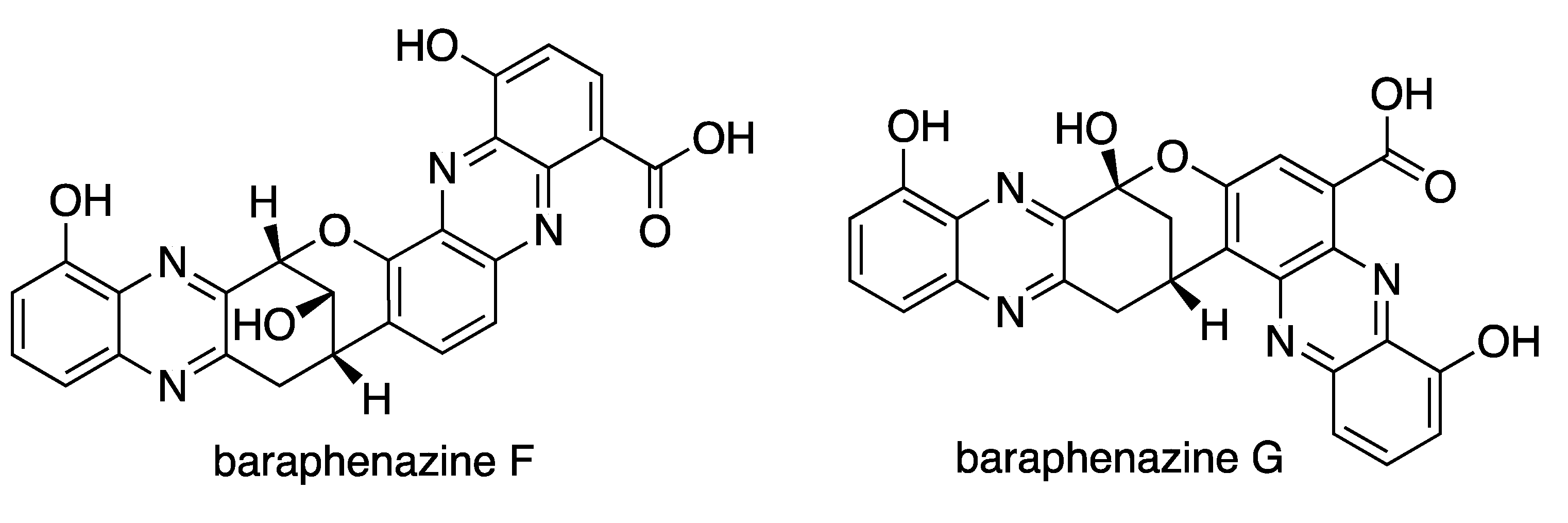 Microbiolres 13 00031 g008a Microbiolres 13 00031 g008a