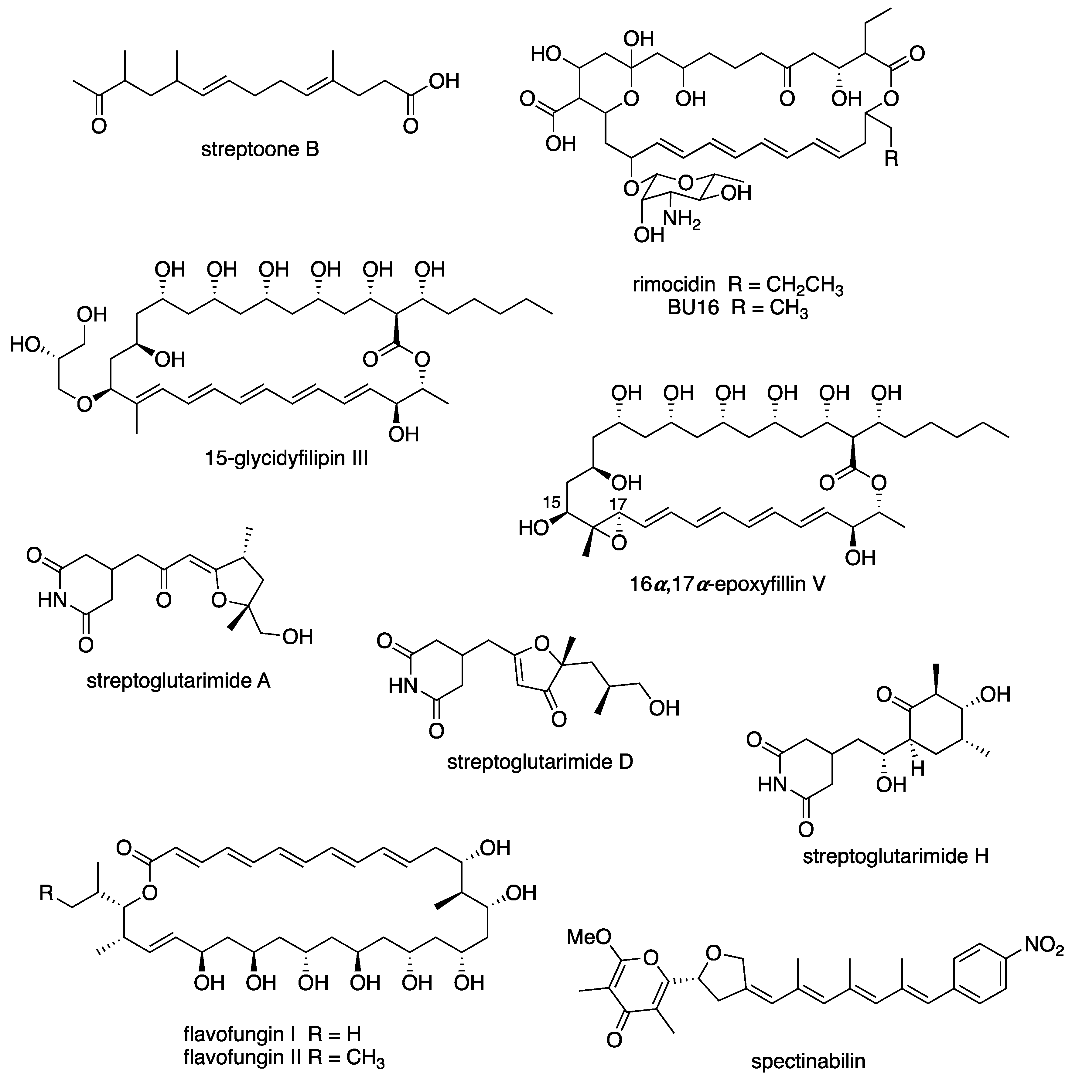 Microbiolres 13 00031 g008b Microbiolres 13 00031 g008b