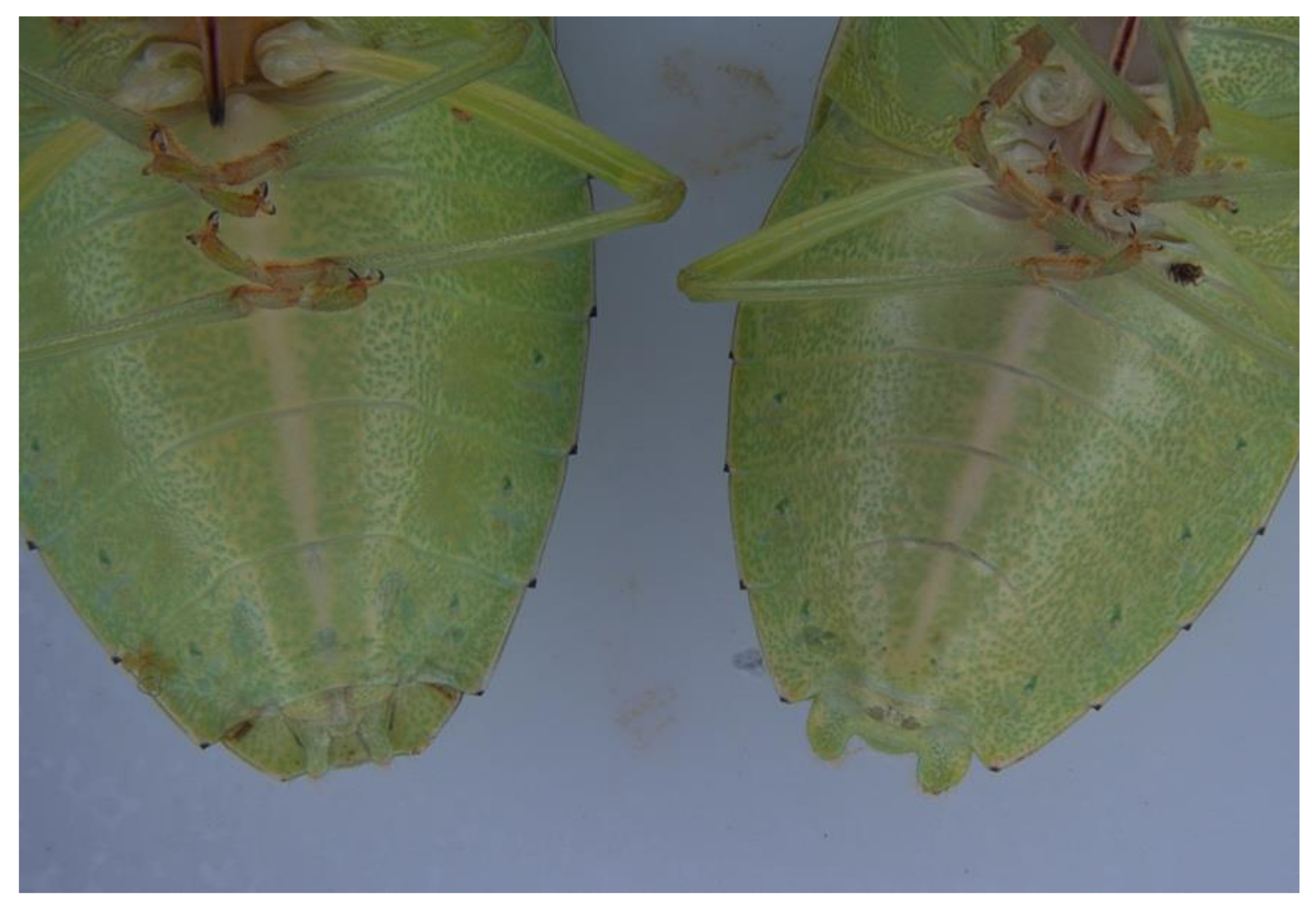 Microbiolres 13 00035 g001 Microbiolres 13 00035 g001