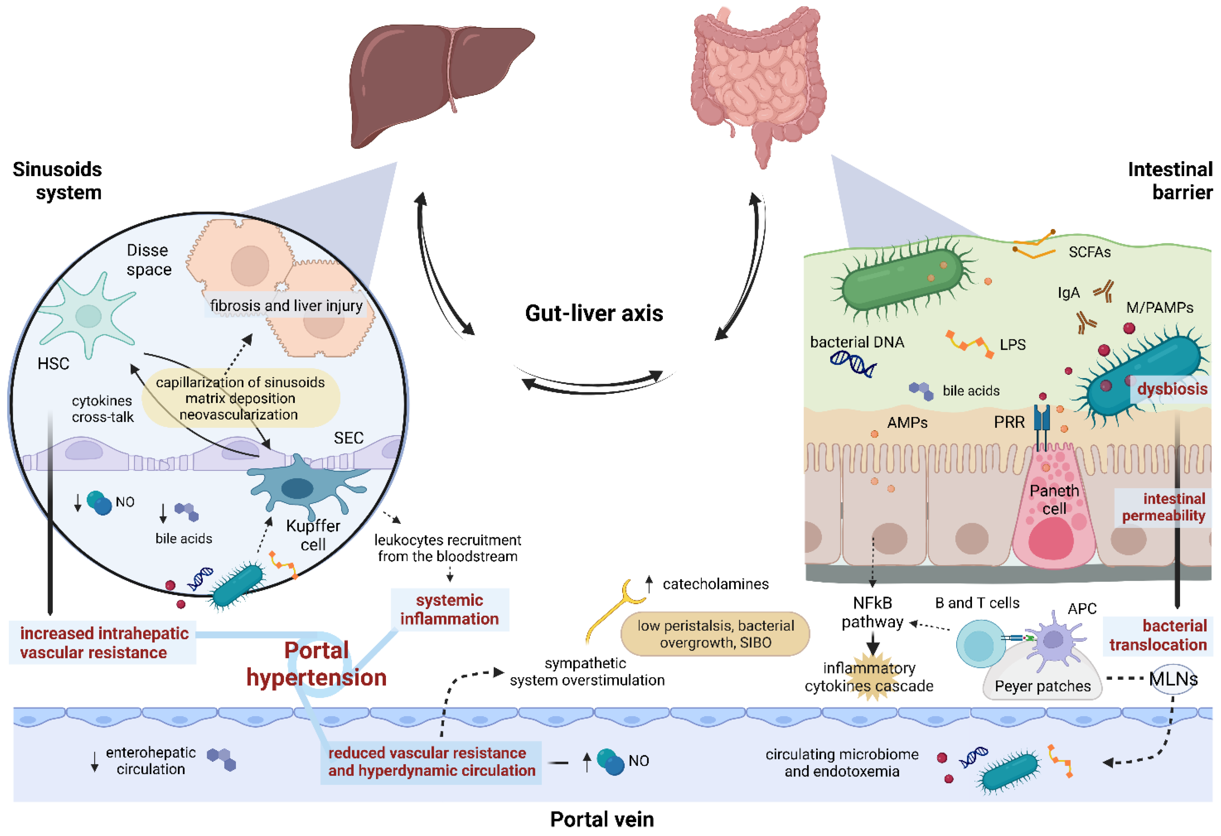 Microbiolres 13 00038 g001 Microbiolres 13 00038 g001