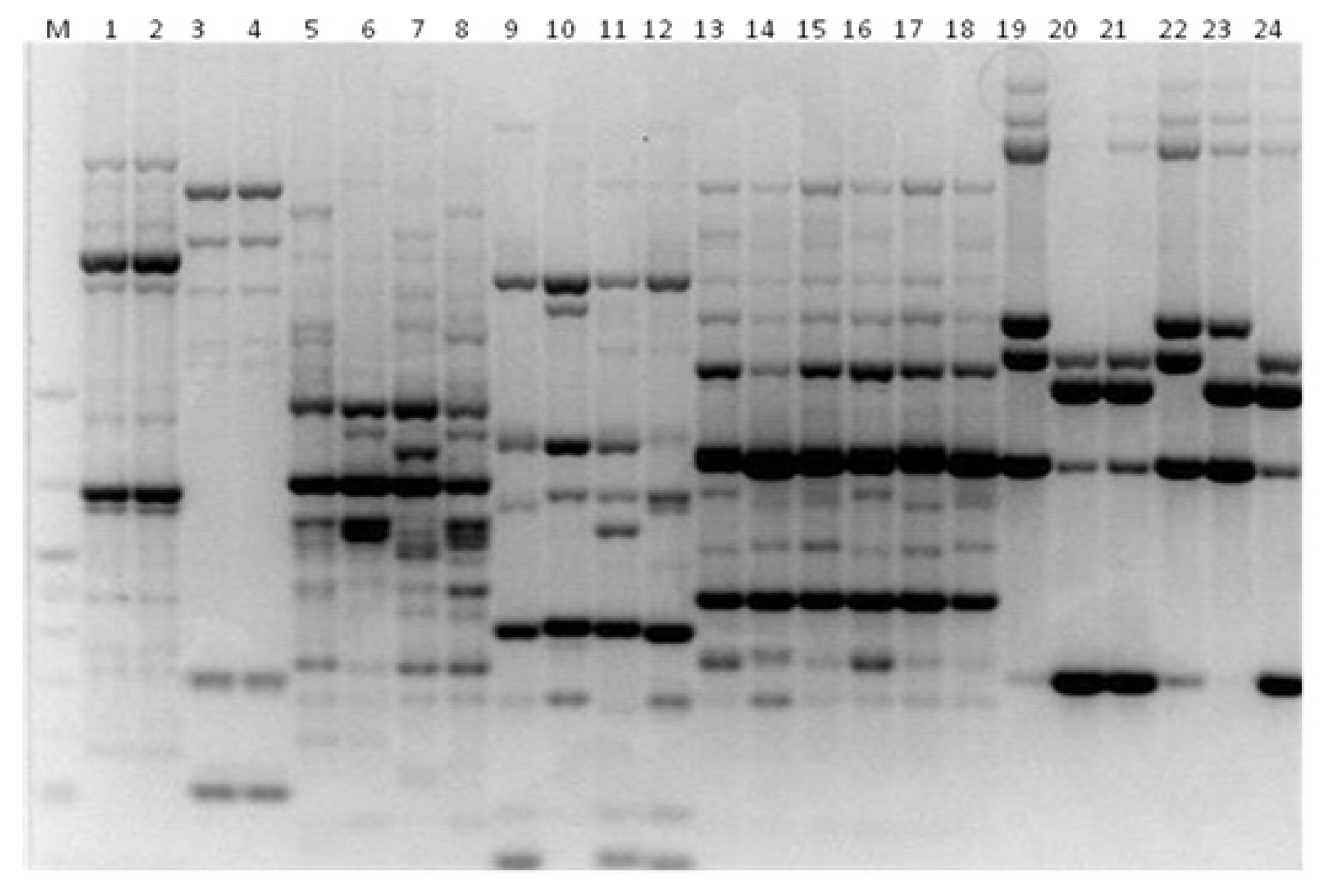 Microbiolres 13 00046 g002 Microbiolres 13 00046 g002
