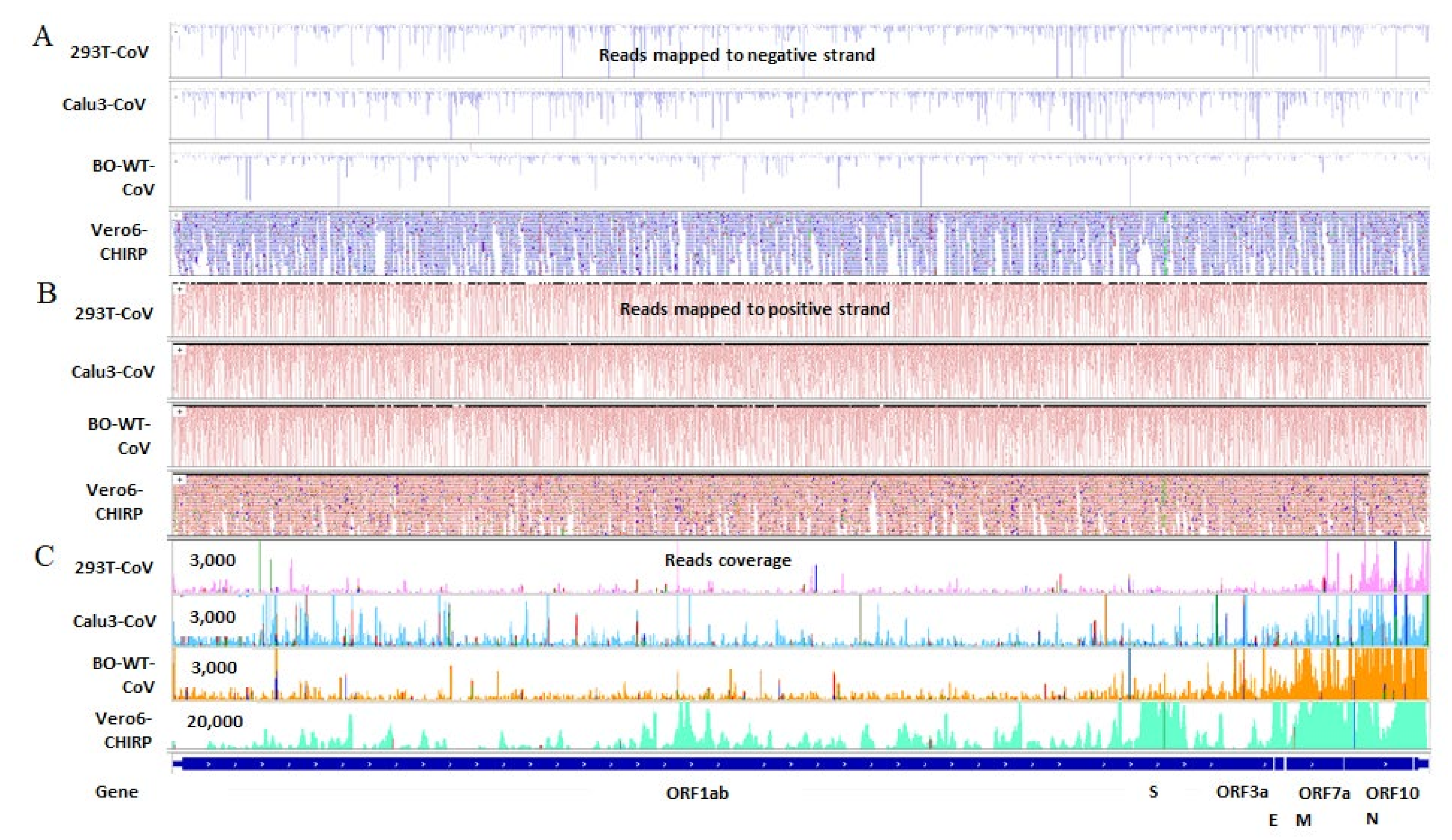 Microbiolres 13 00056 g003 Microbiolres 13 00056 g003