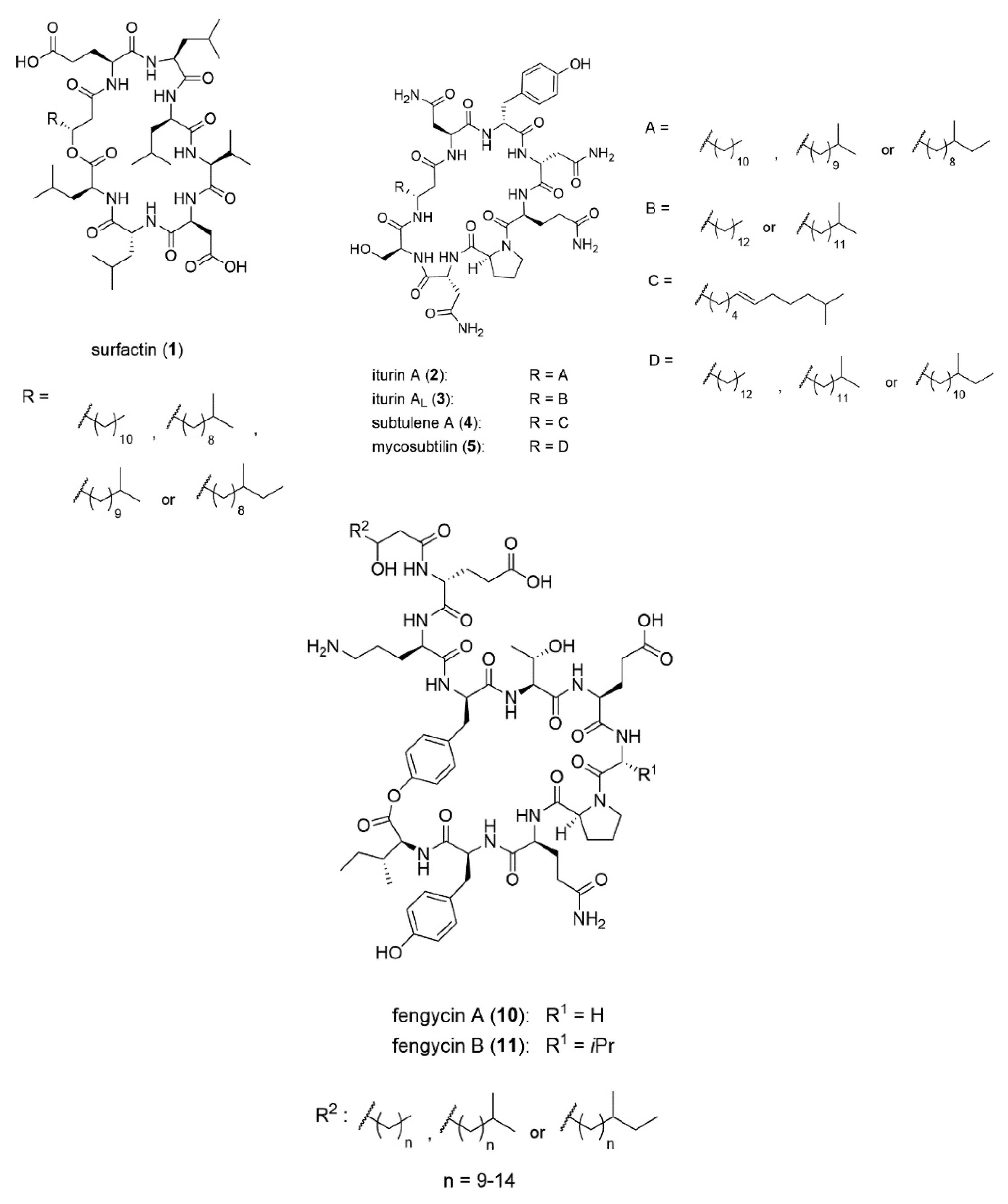 Microbiolres 13 00070 g001 Microbiolres 13 00070 g001