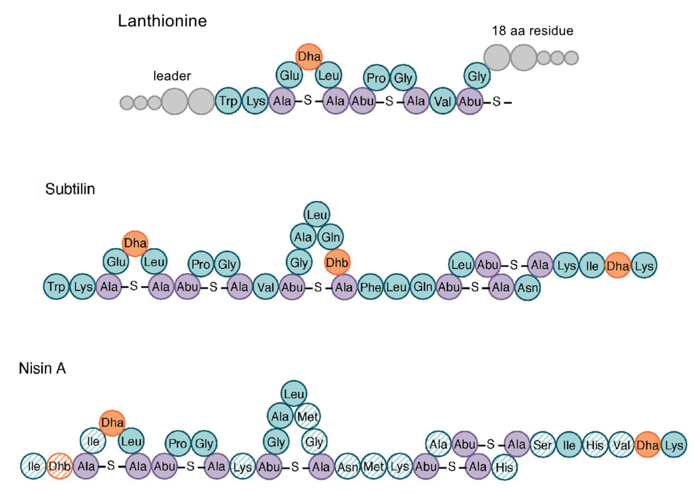 Microbiolres 13 00070 g003 Microbiolres 13 00070 g003