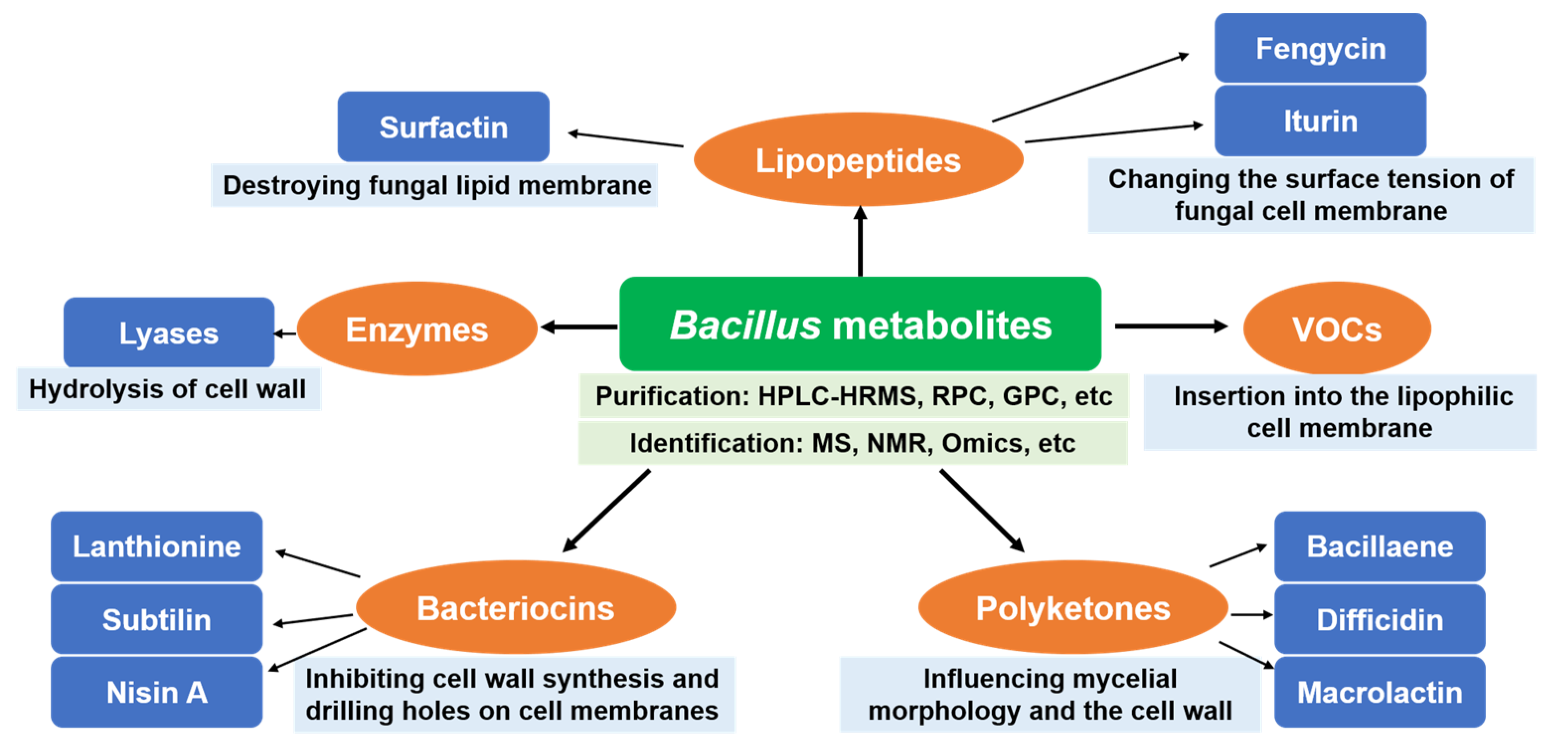 Microbiolres 13 00070 g004 Microbiolres 13 00070 g004